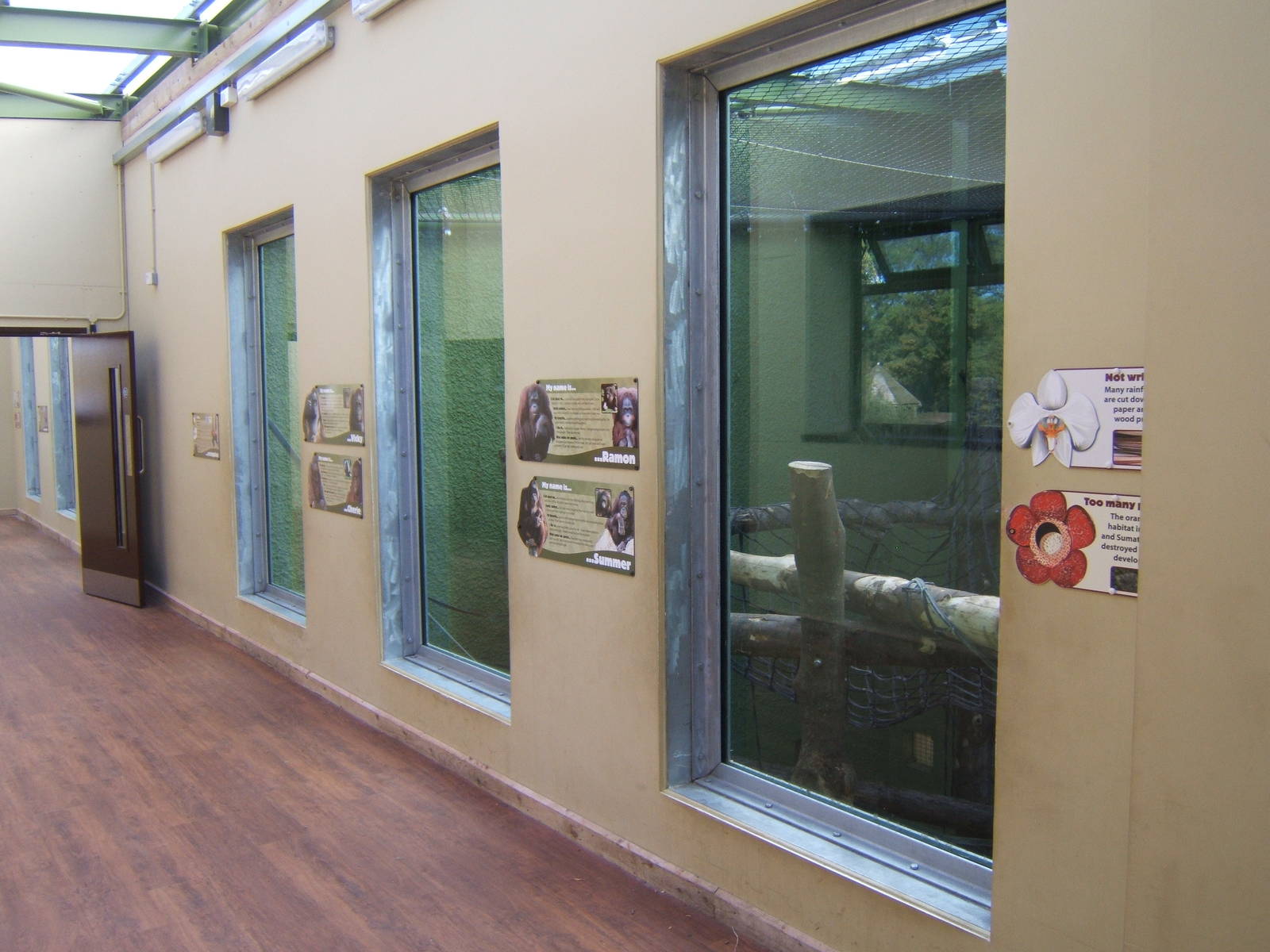 View inside the Orang House