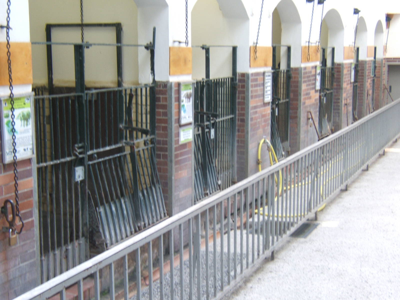 View inside the Pig House