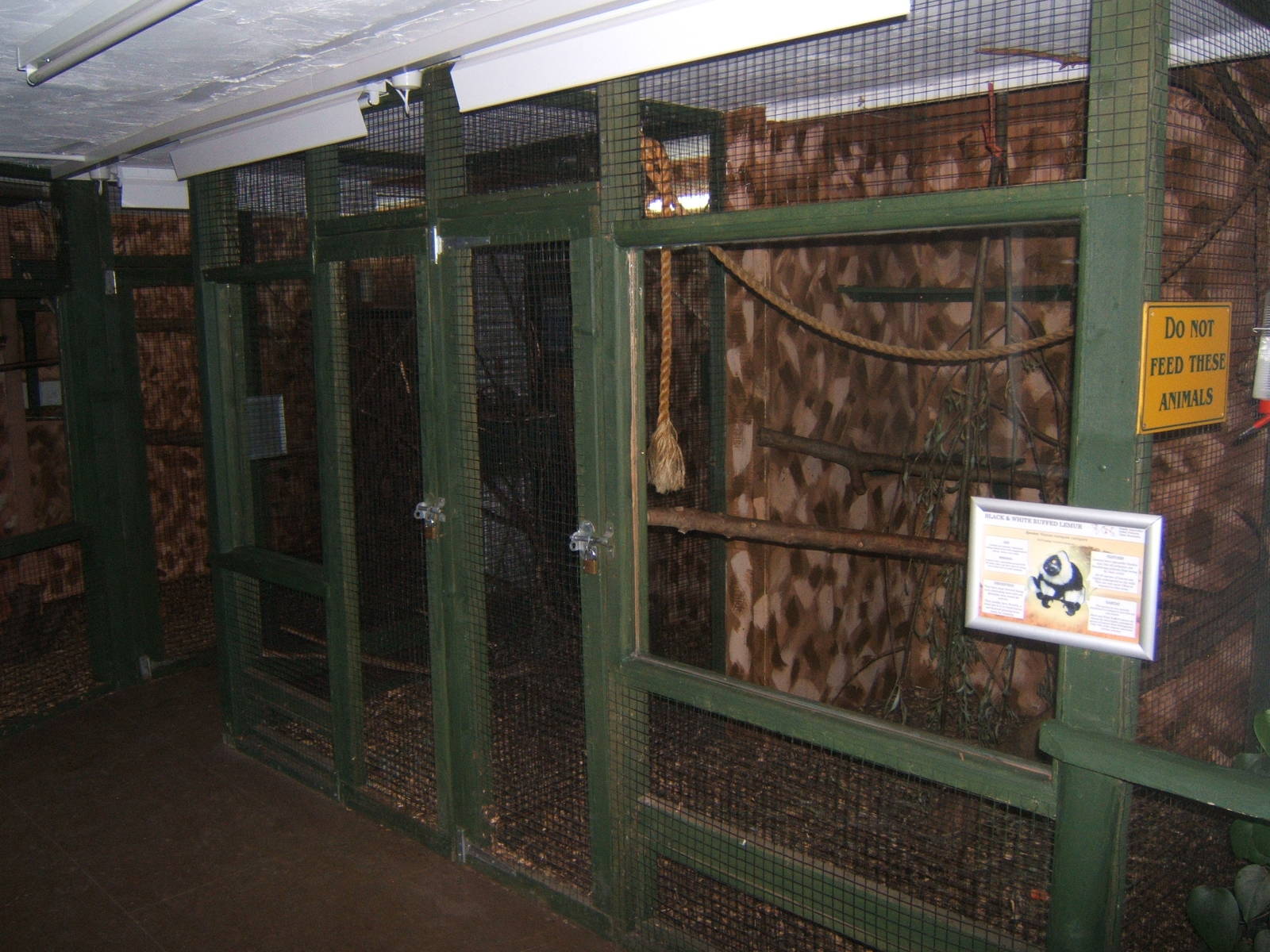 View inside the Primate House