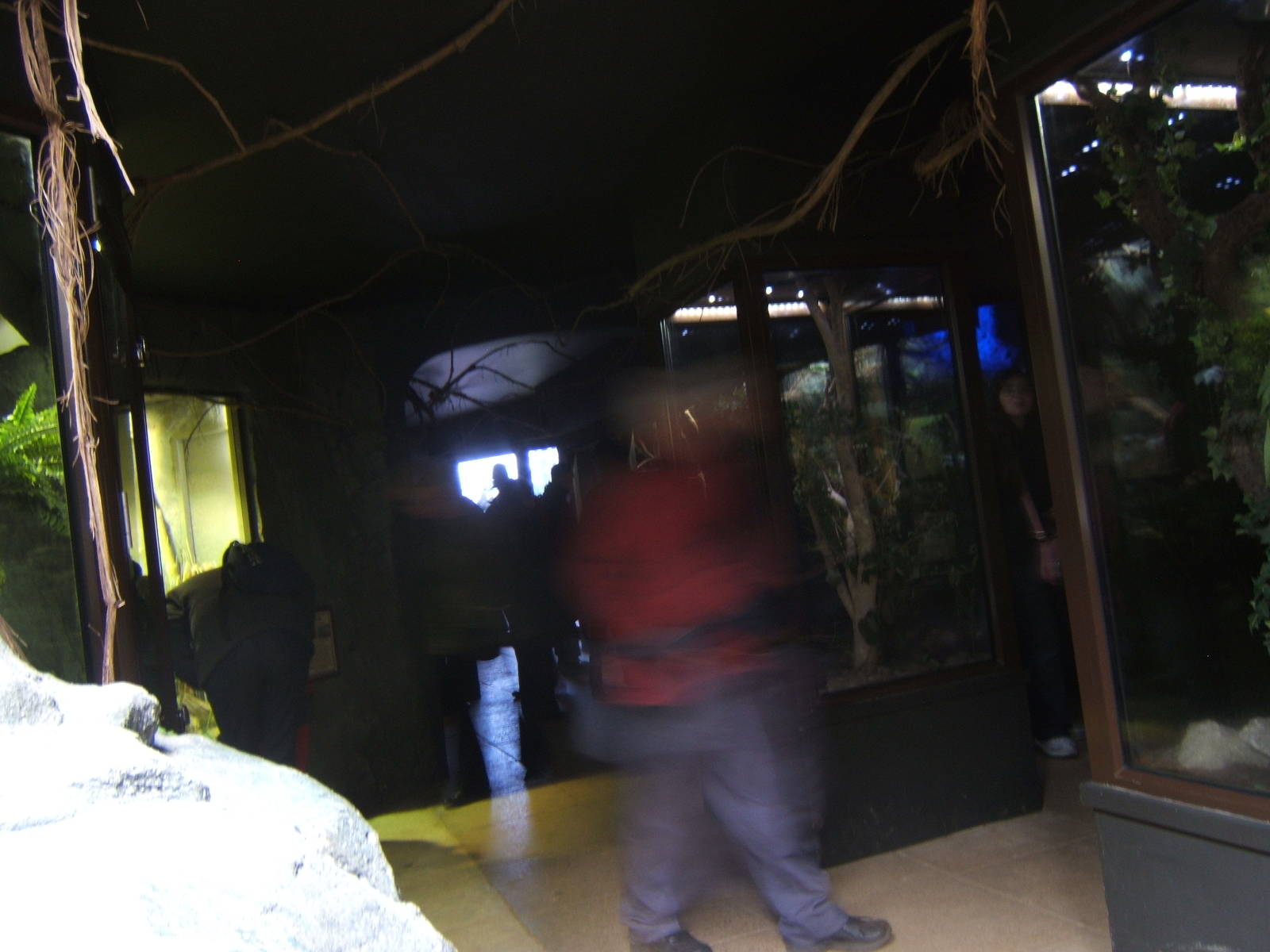 View inside the redisgned Insect House