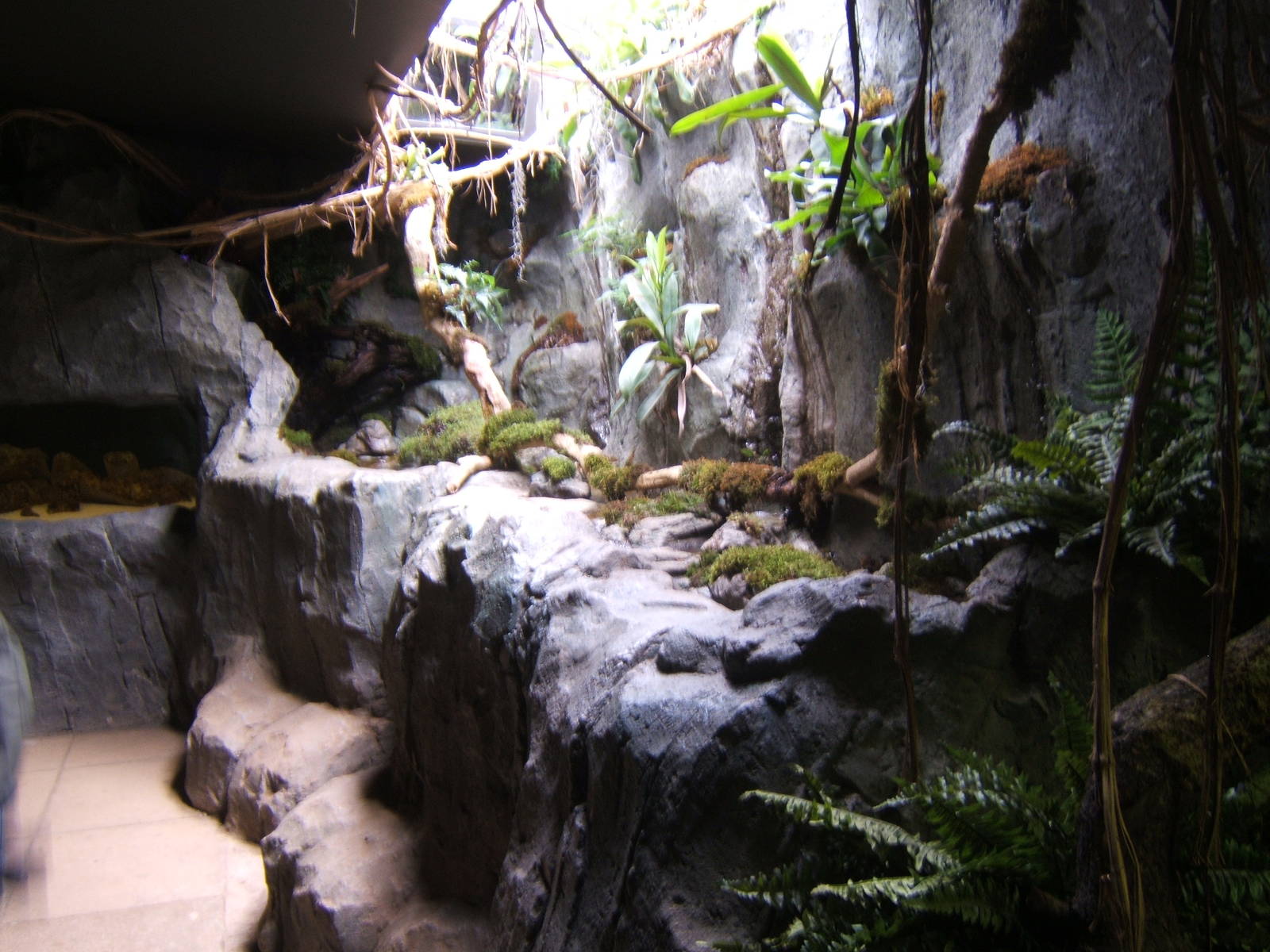 View inside the redisgned Insect House