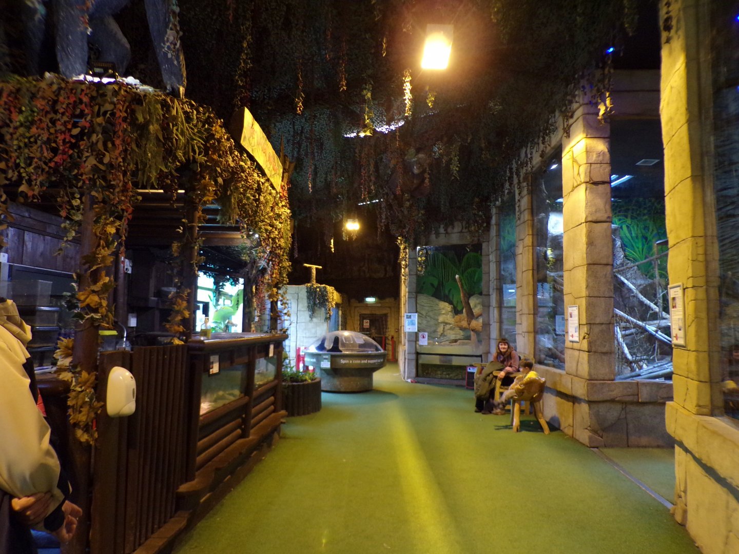 View inside the reptile house 12.4.24