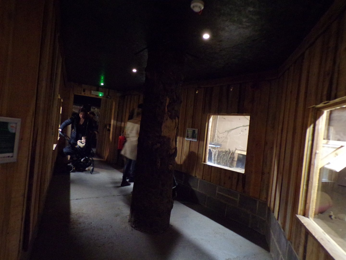 View inside the reptile house 14.10.23