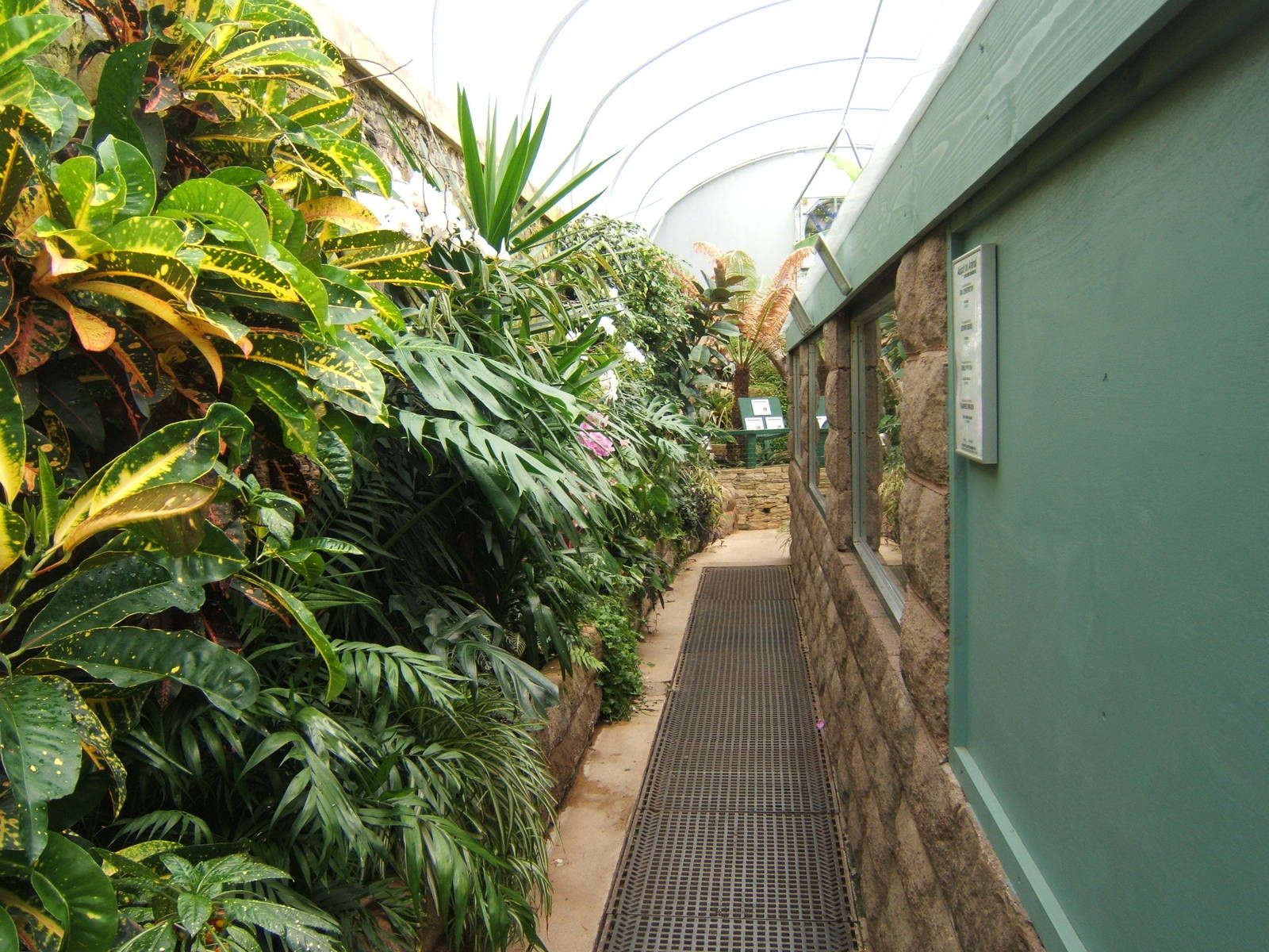 View inside the Reptile House