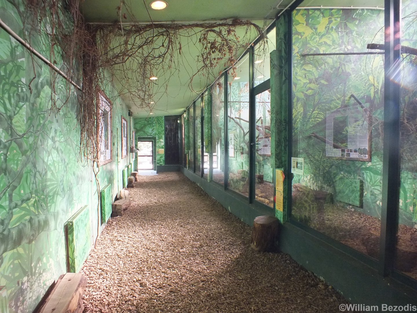 View Inside the Small Primate House