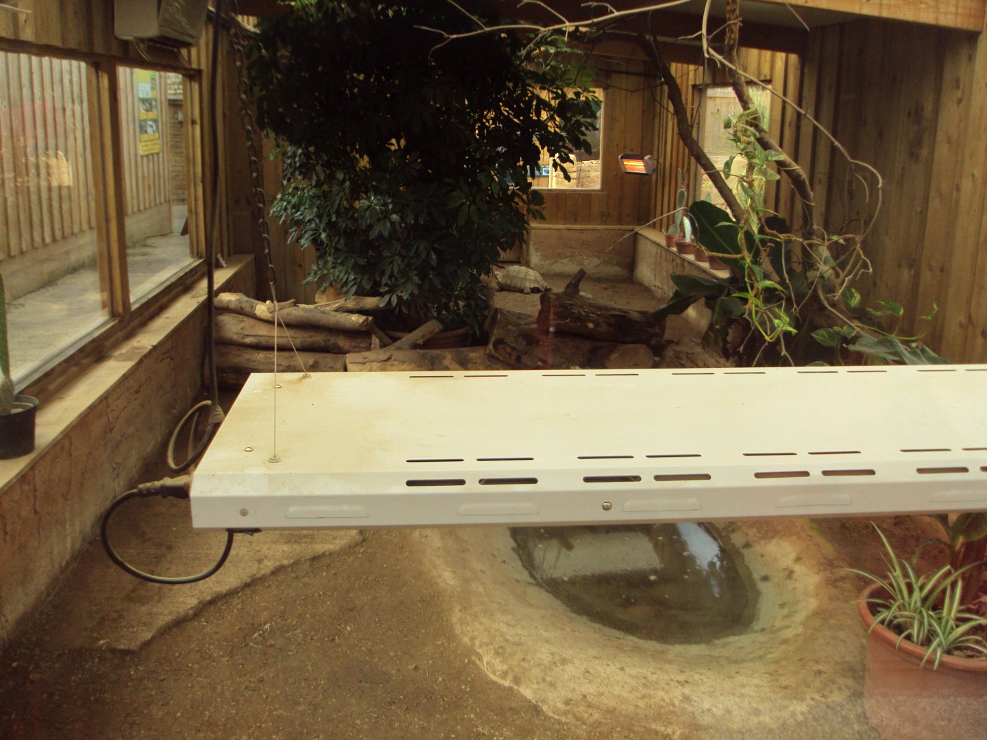 View inside the Sulcatta House 31/10/2019