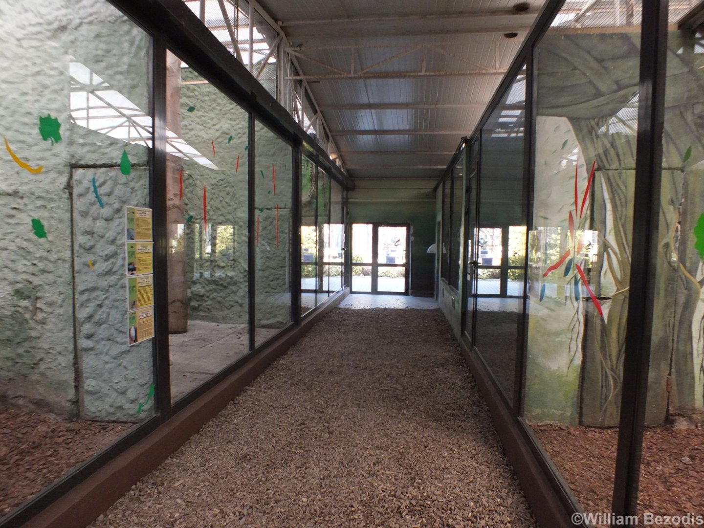 View Inside the Tropical Bird House