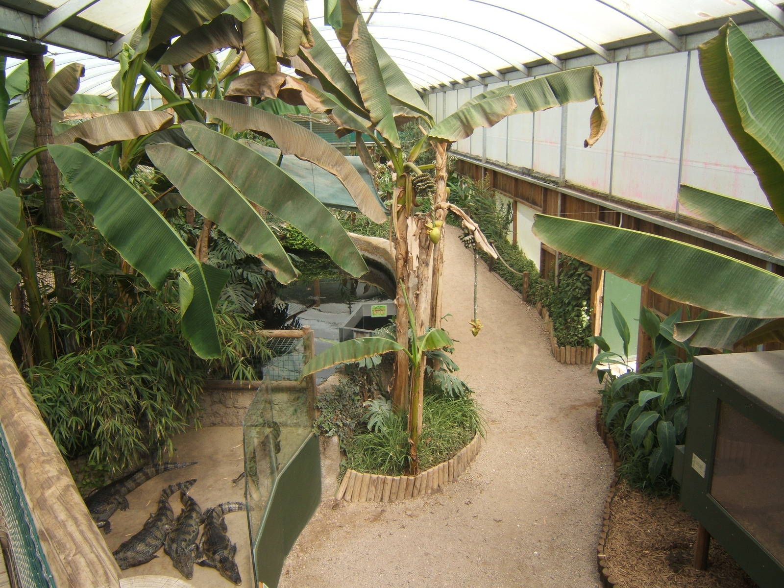View inside the Tropical House