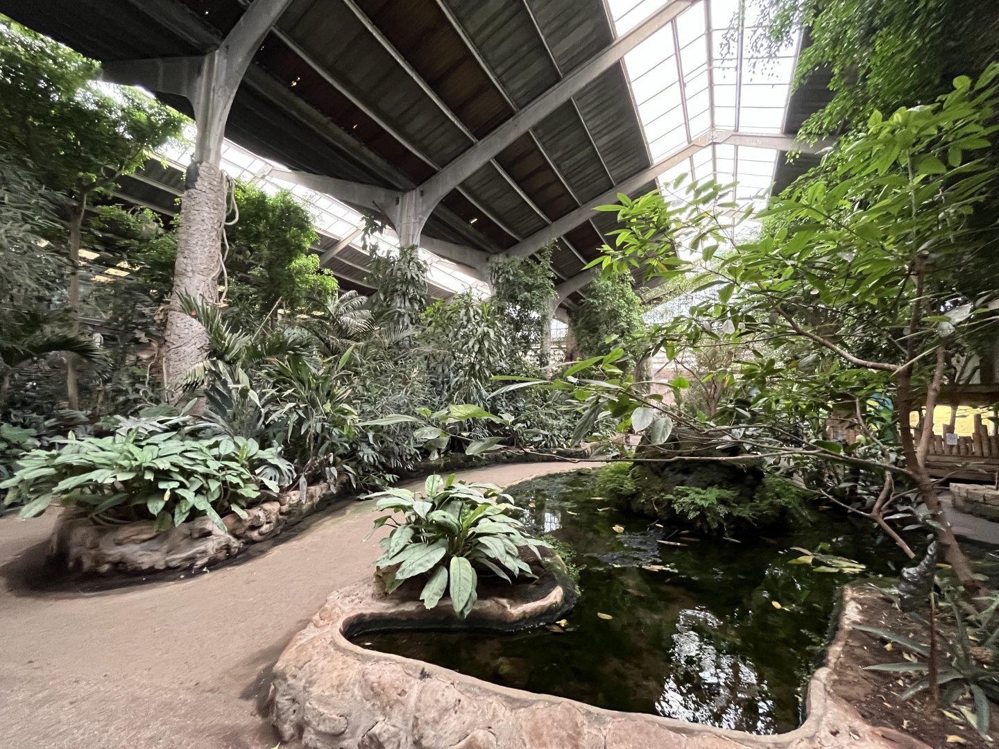 View inside the Tropical Realm  29.6.24