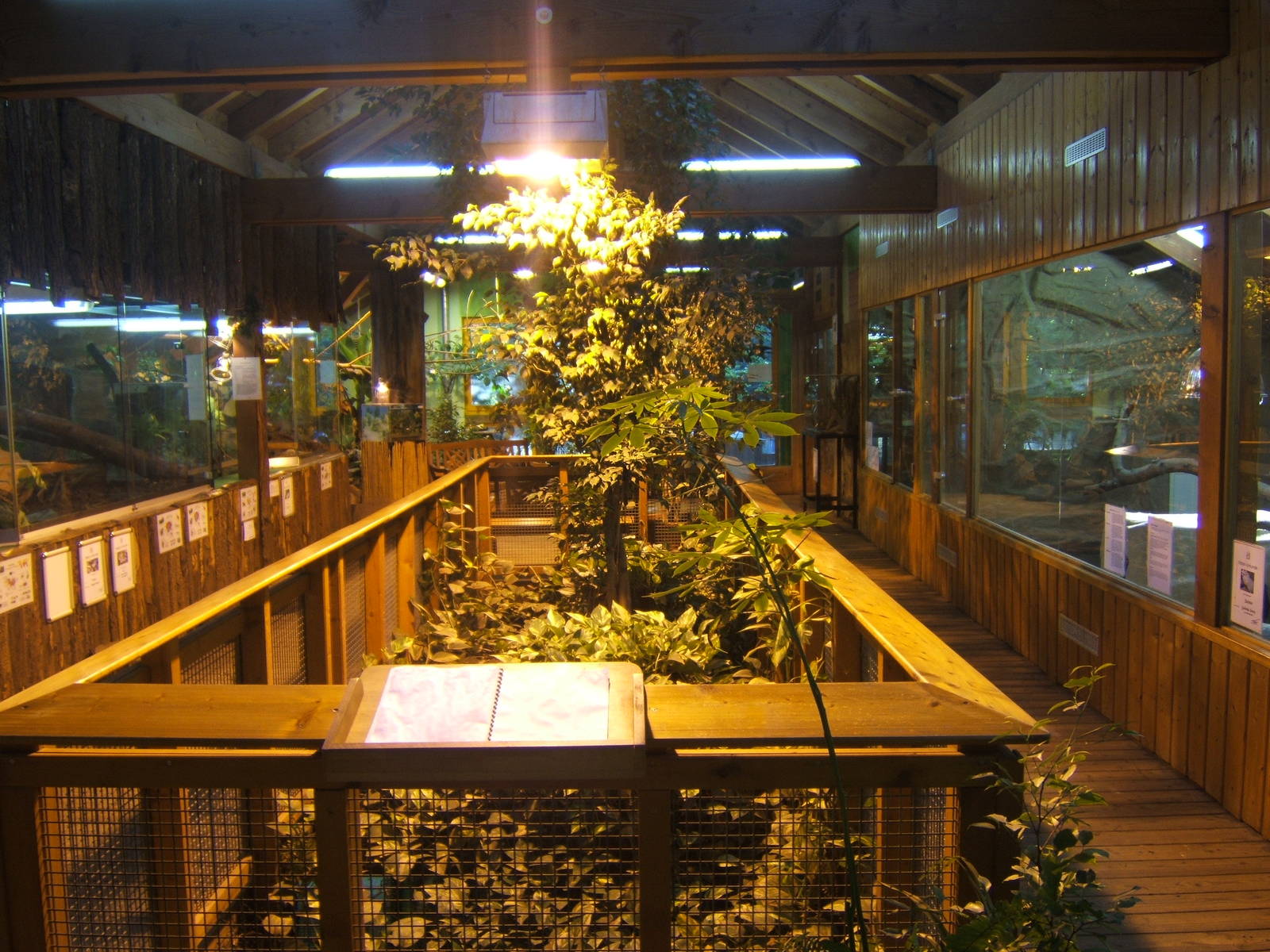View inside Tropical House