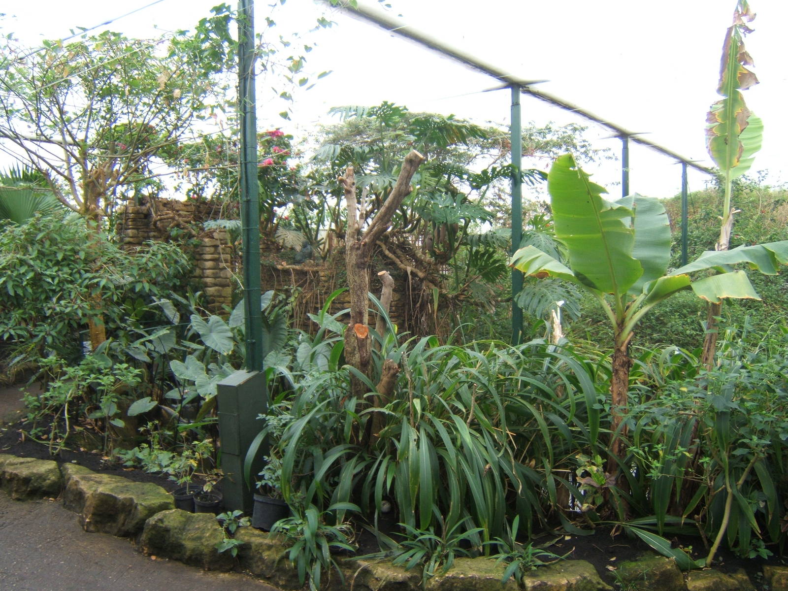 View inside Tropical House