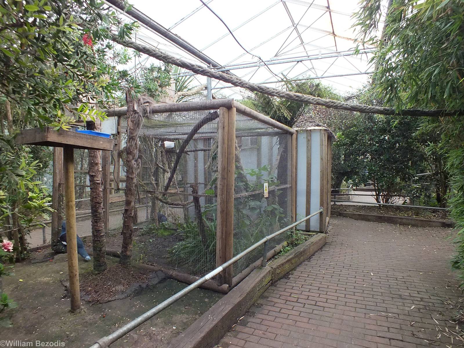 View Inside Tropical House
