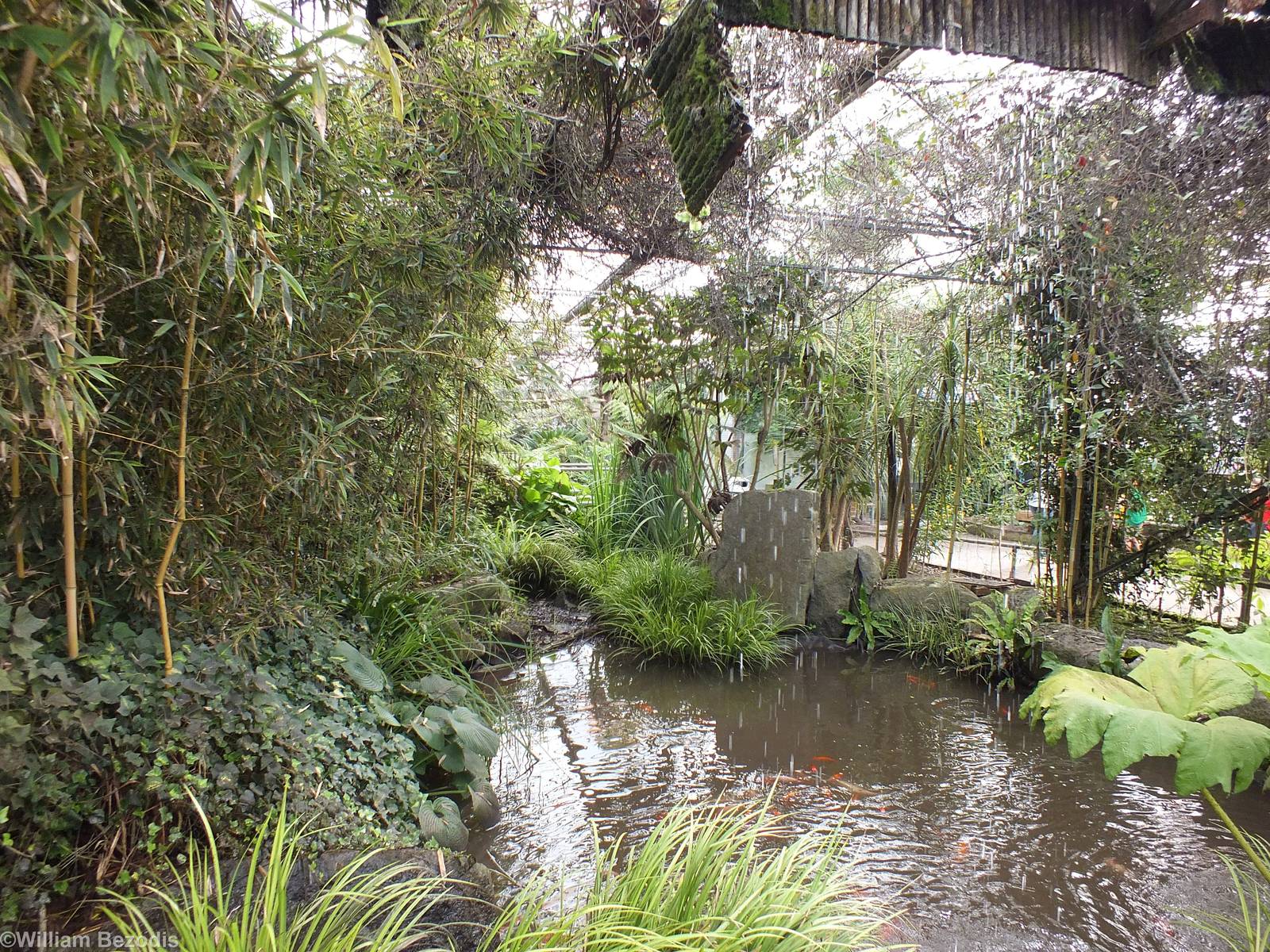 View Inside Tropical House