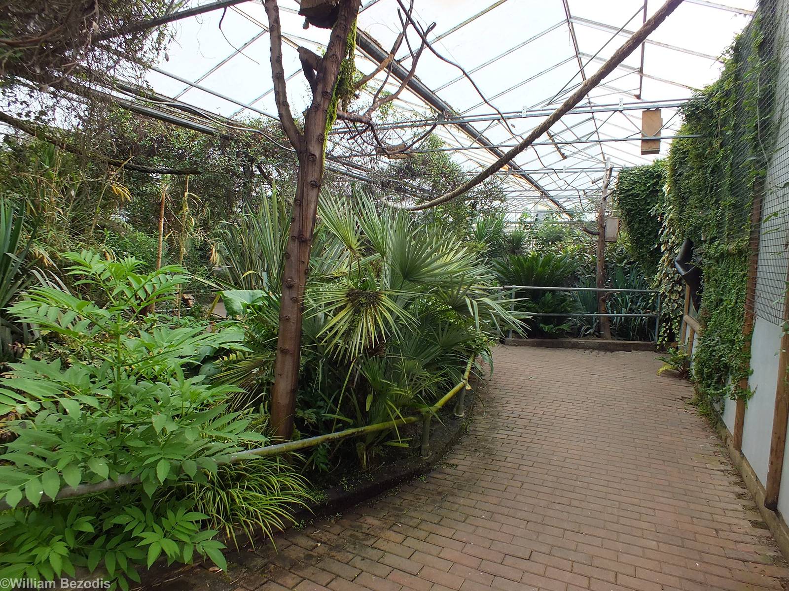 View Inside Tropical House