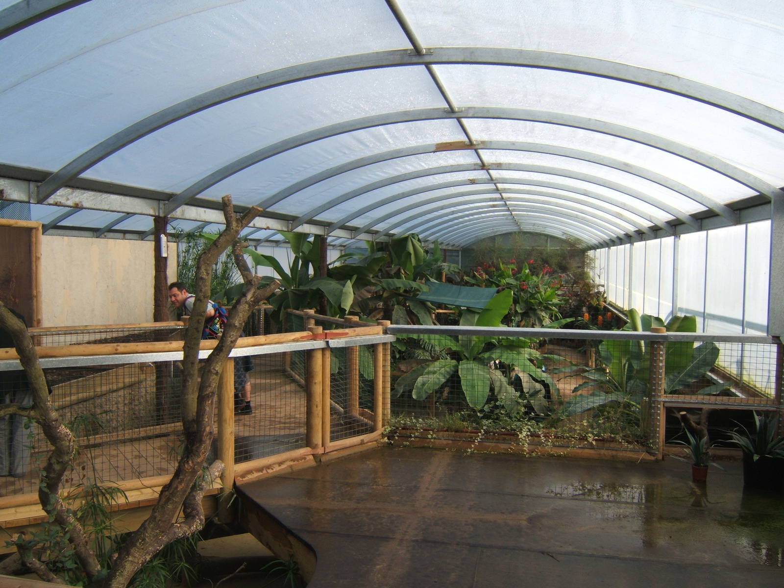 View inside Tropical House