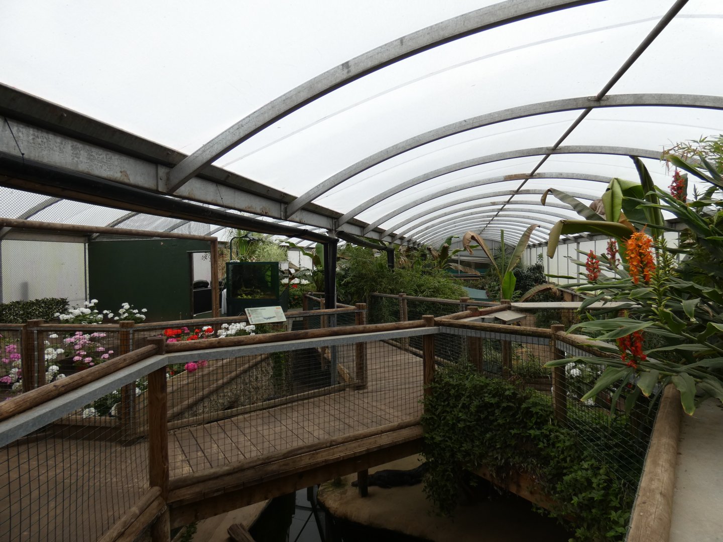 View inside tropical house