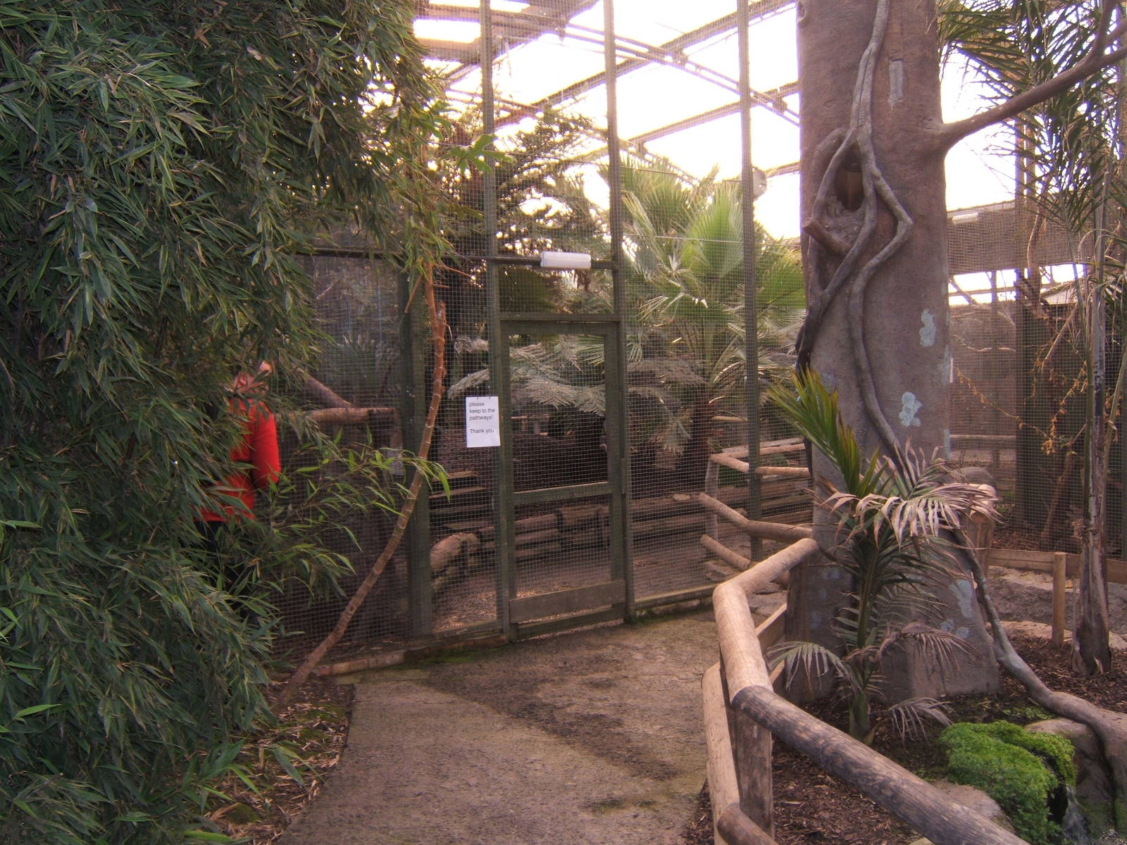 View inside Tropical House