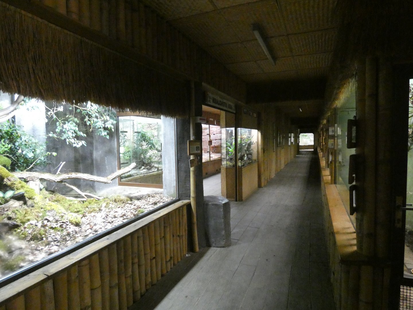 View inside Tropical pavilion