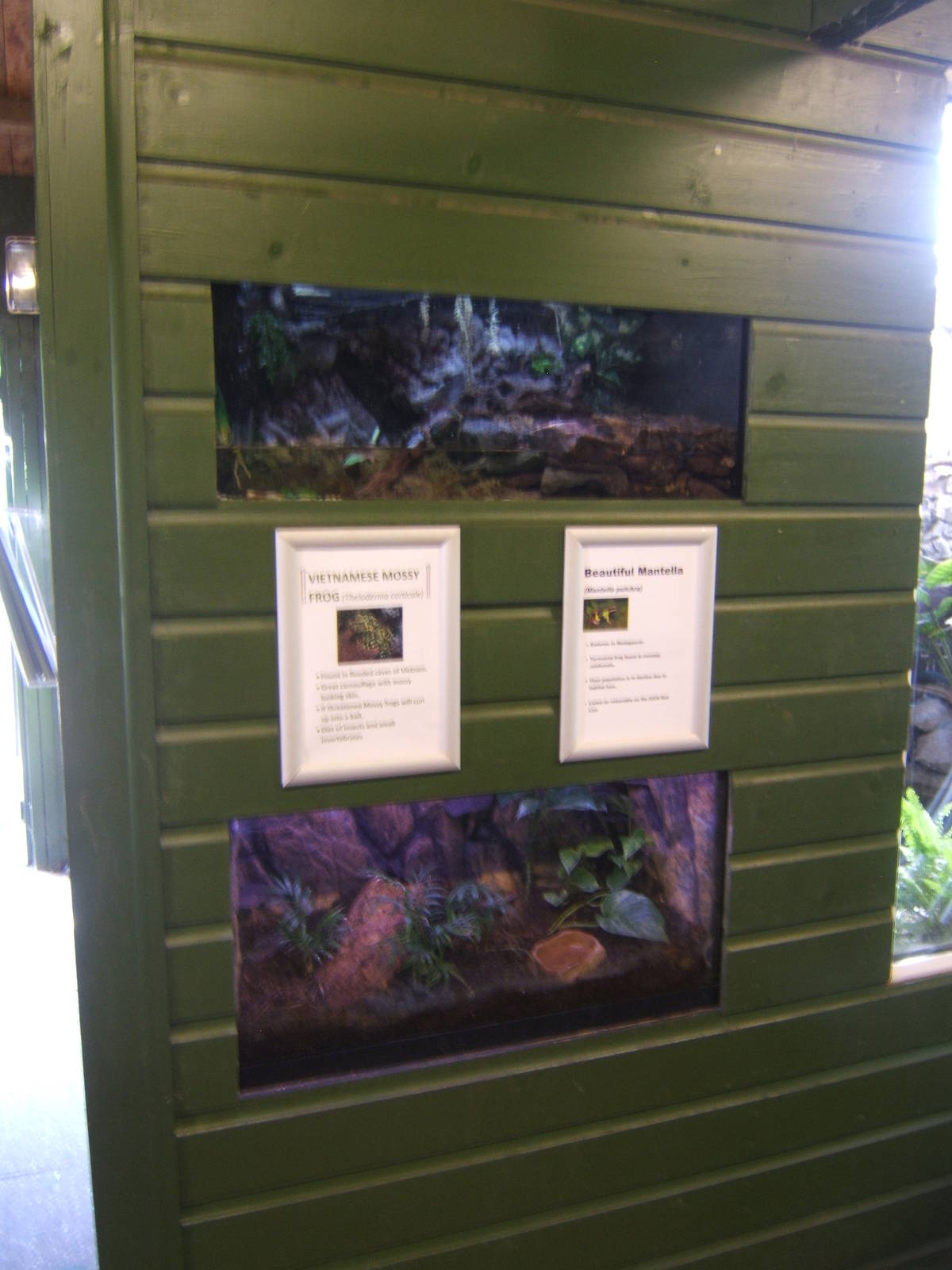 View inside Tropical/Reptile House