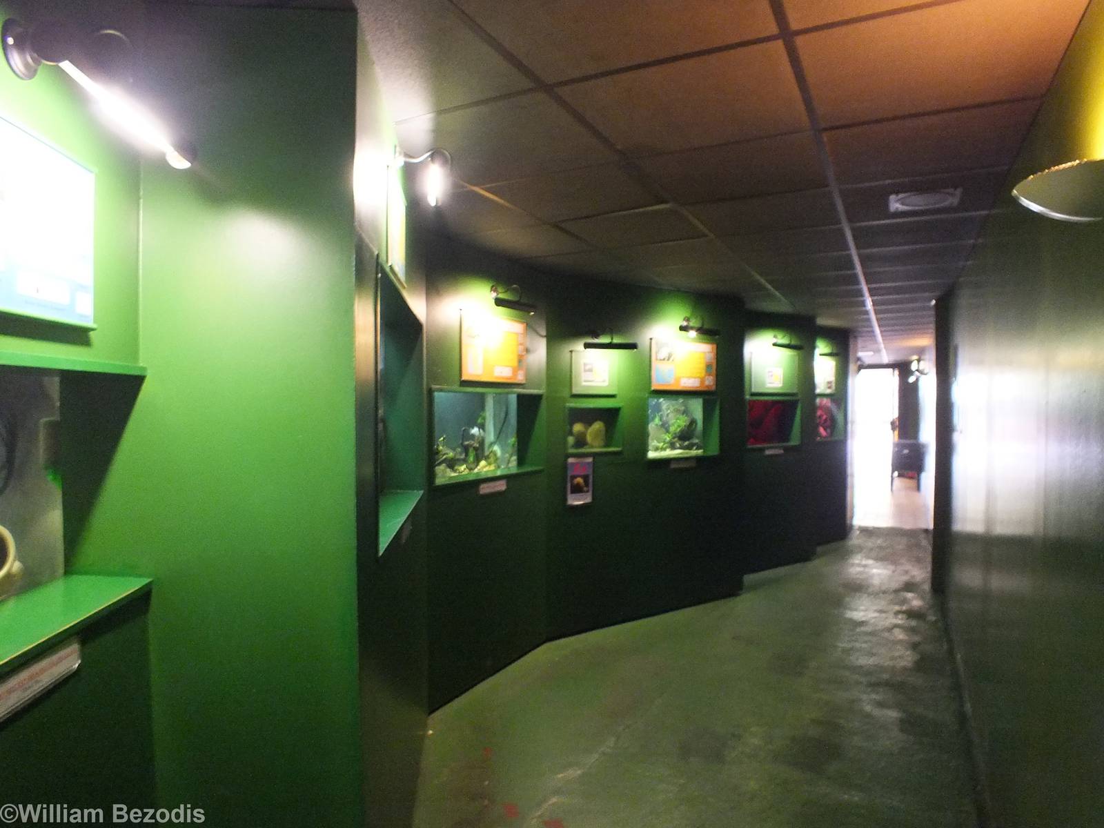 View inside Underwater World