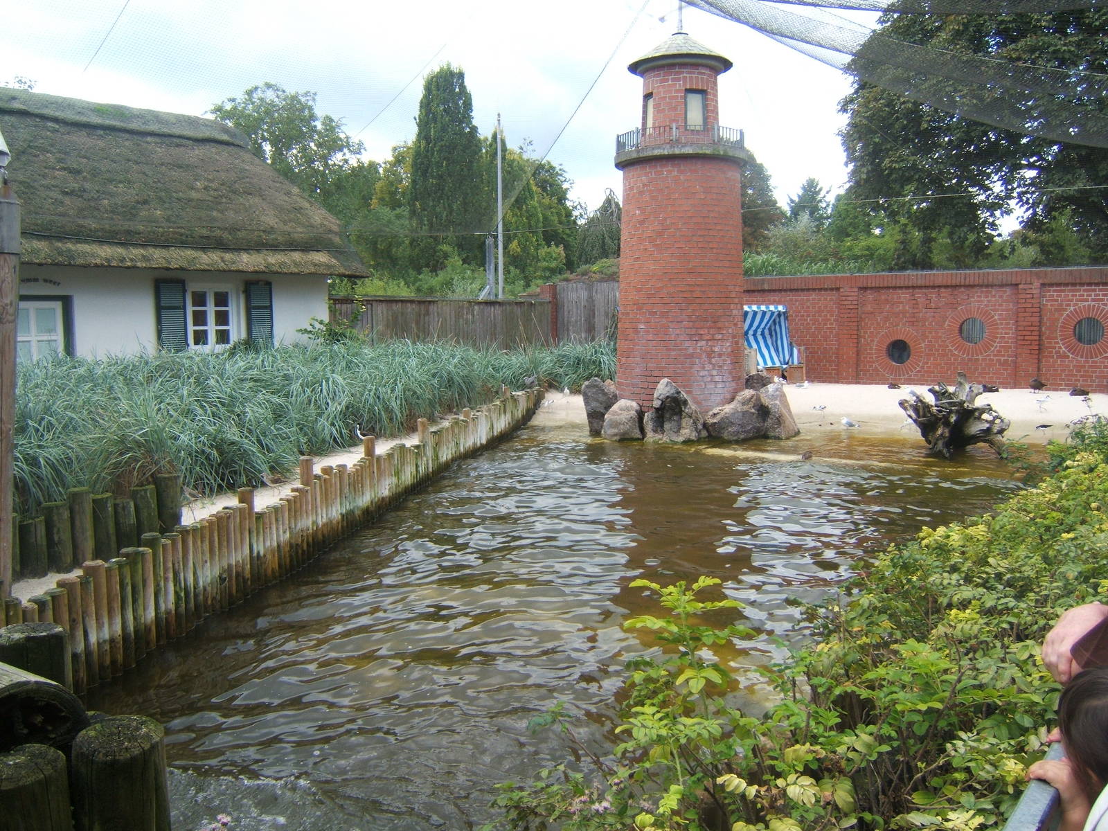 View inside Wader Aviary
