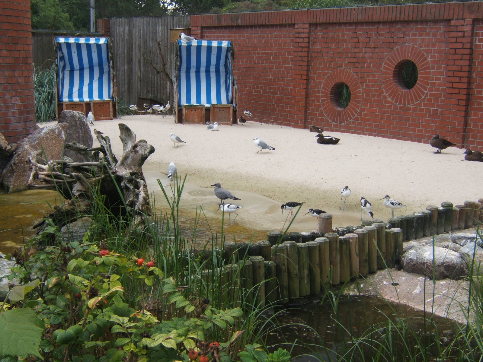 View inside Wader Aviary