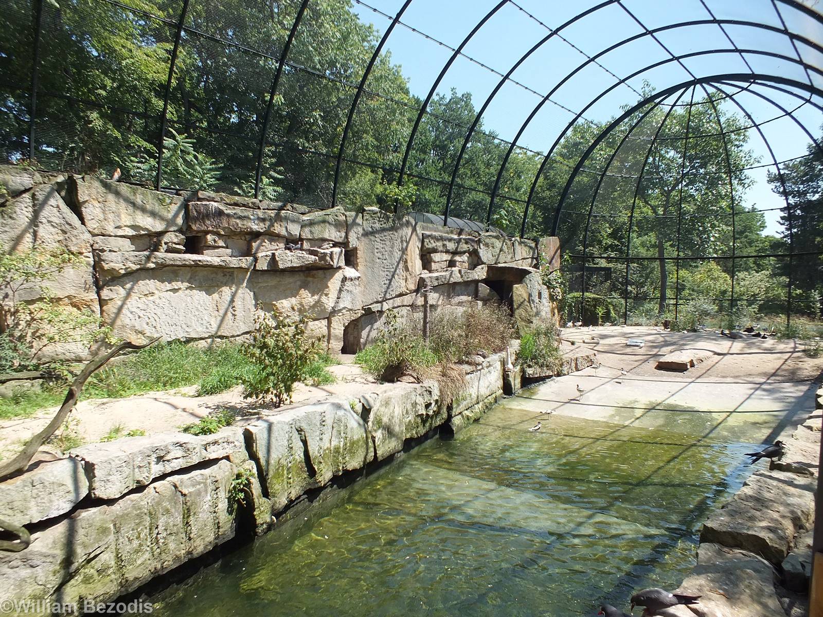 View Inside Wader Aviary