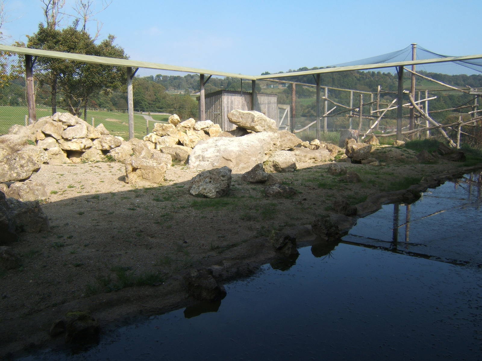 View inside walk in Pallas Cat enclosure