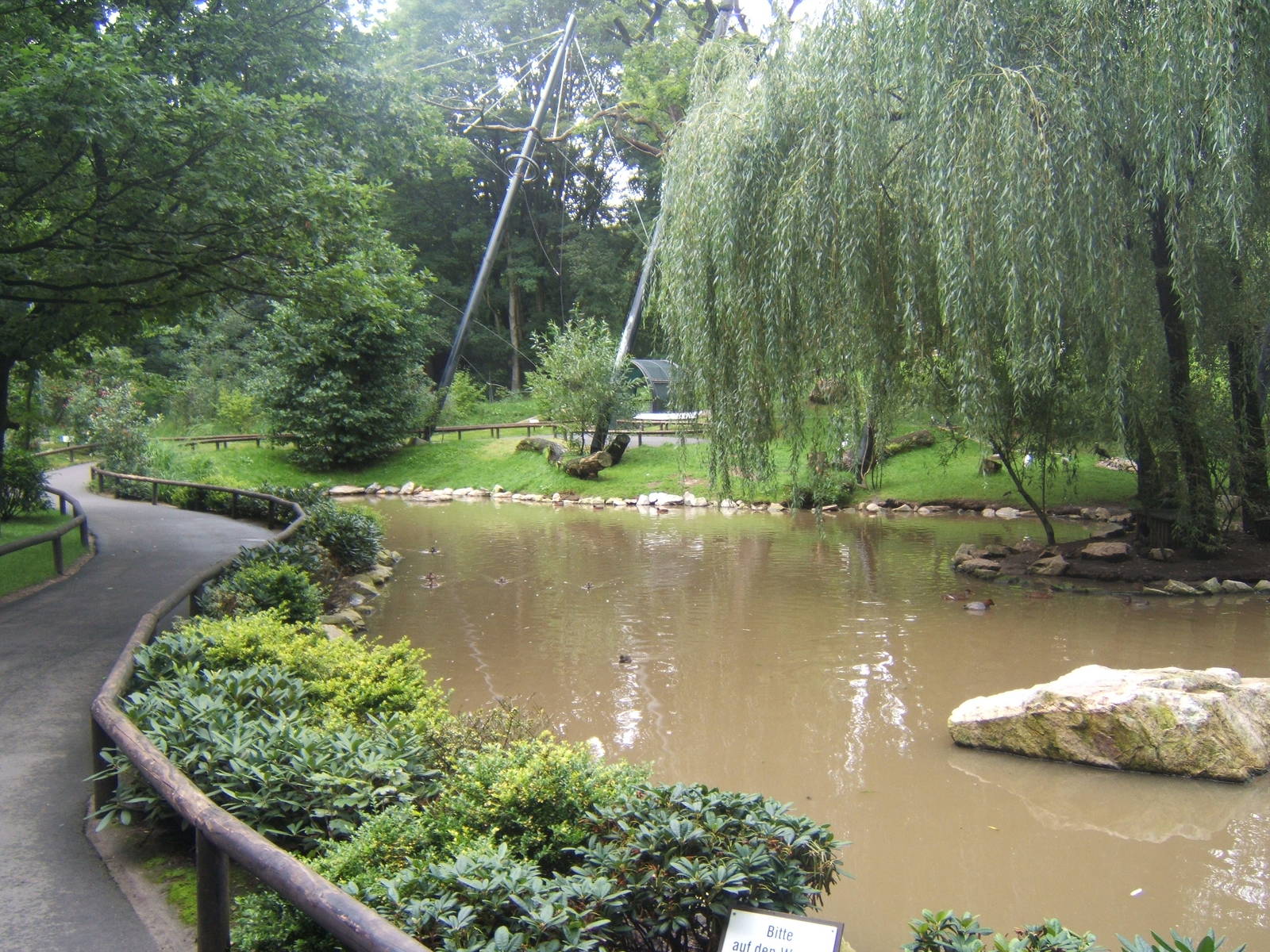 View inside walk through Aviary