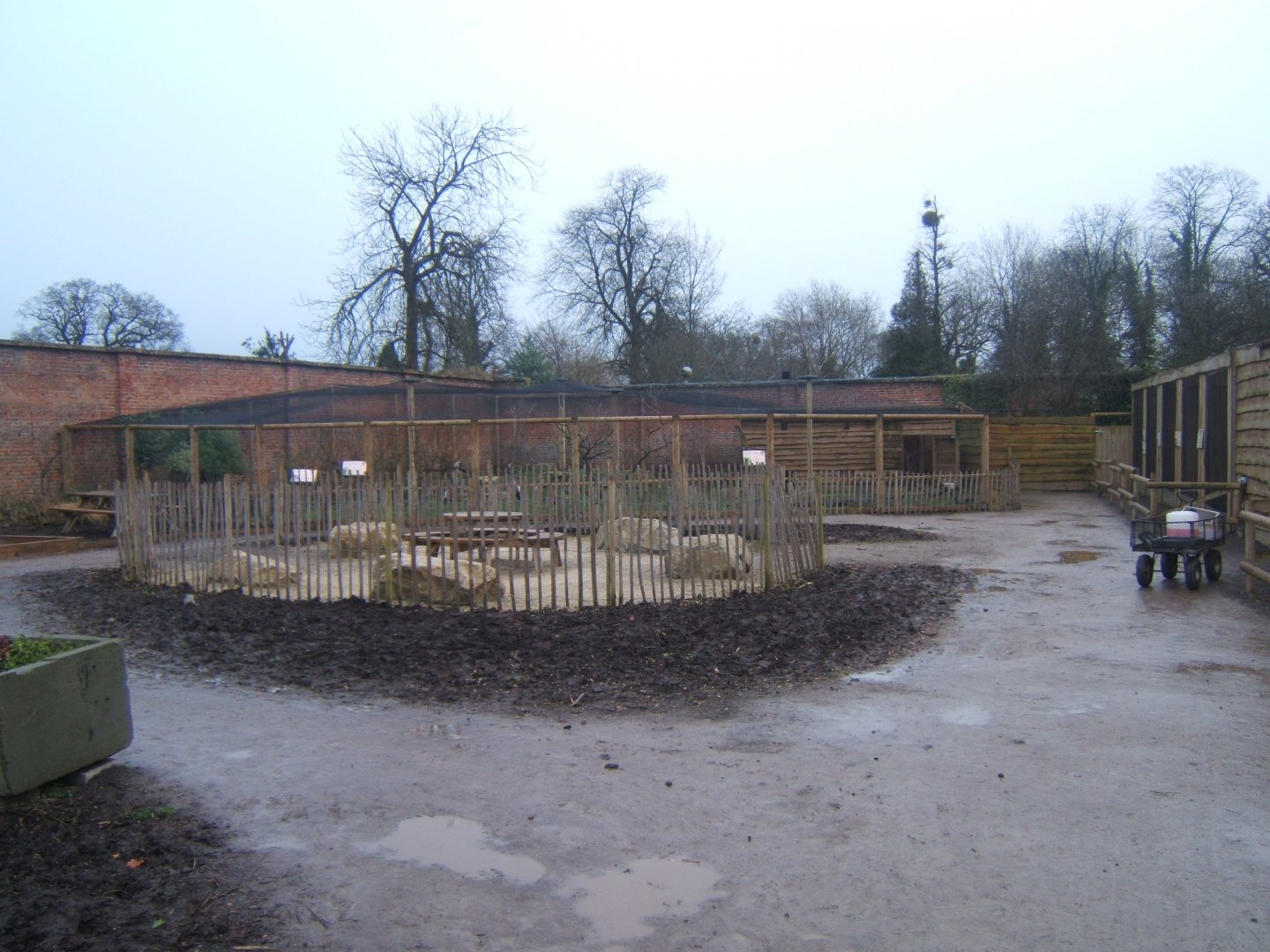 View inside walled Garden 03/02/2018