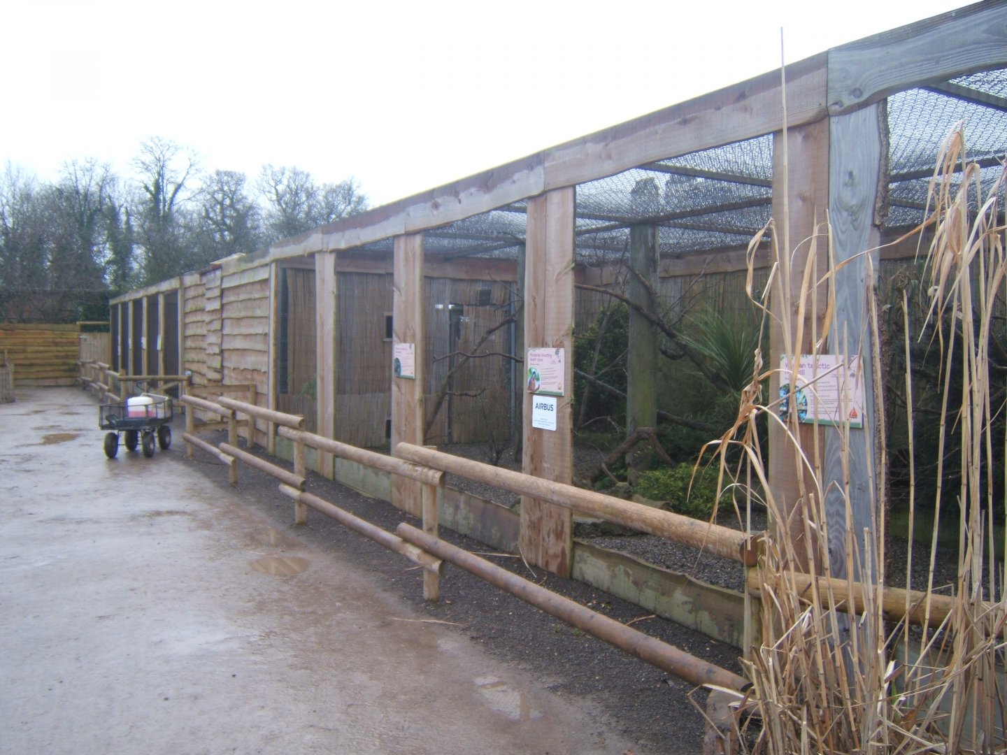 View inside walled Garden 03/02/2018