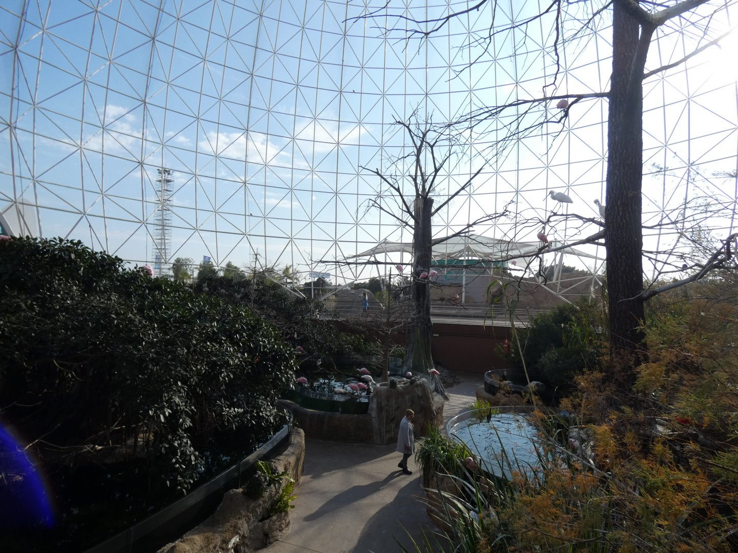 View inside Wetlands aviary