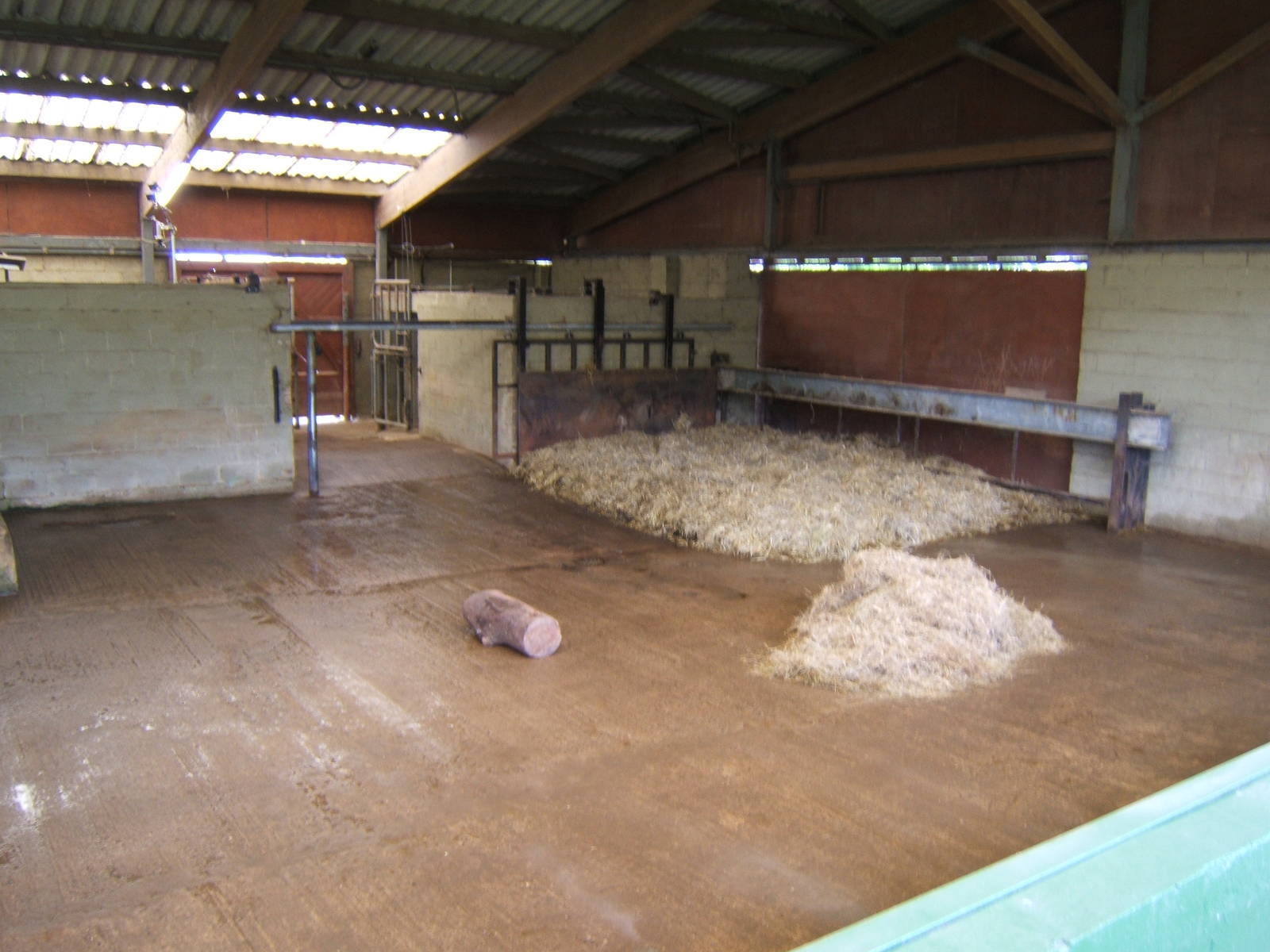 View inside White Rhino House