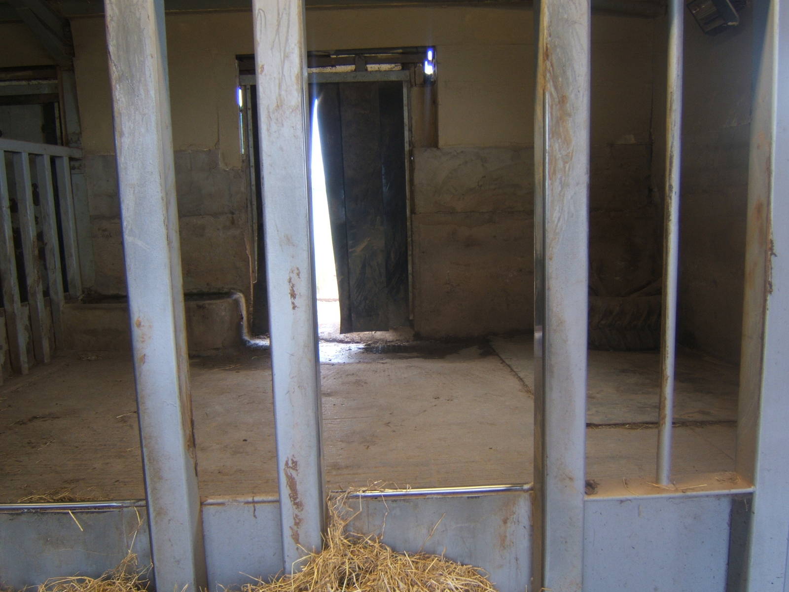 View inside White Rhino House