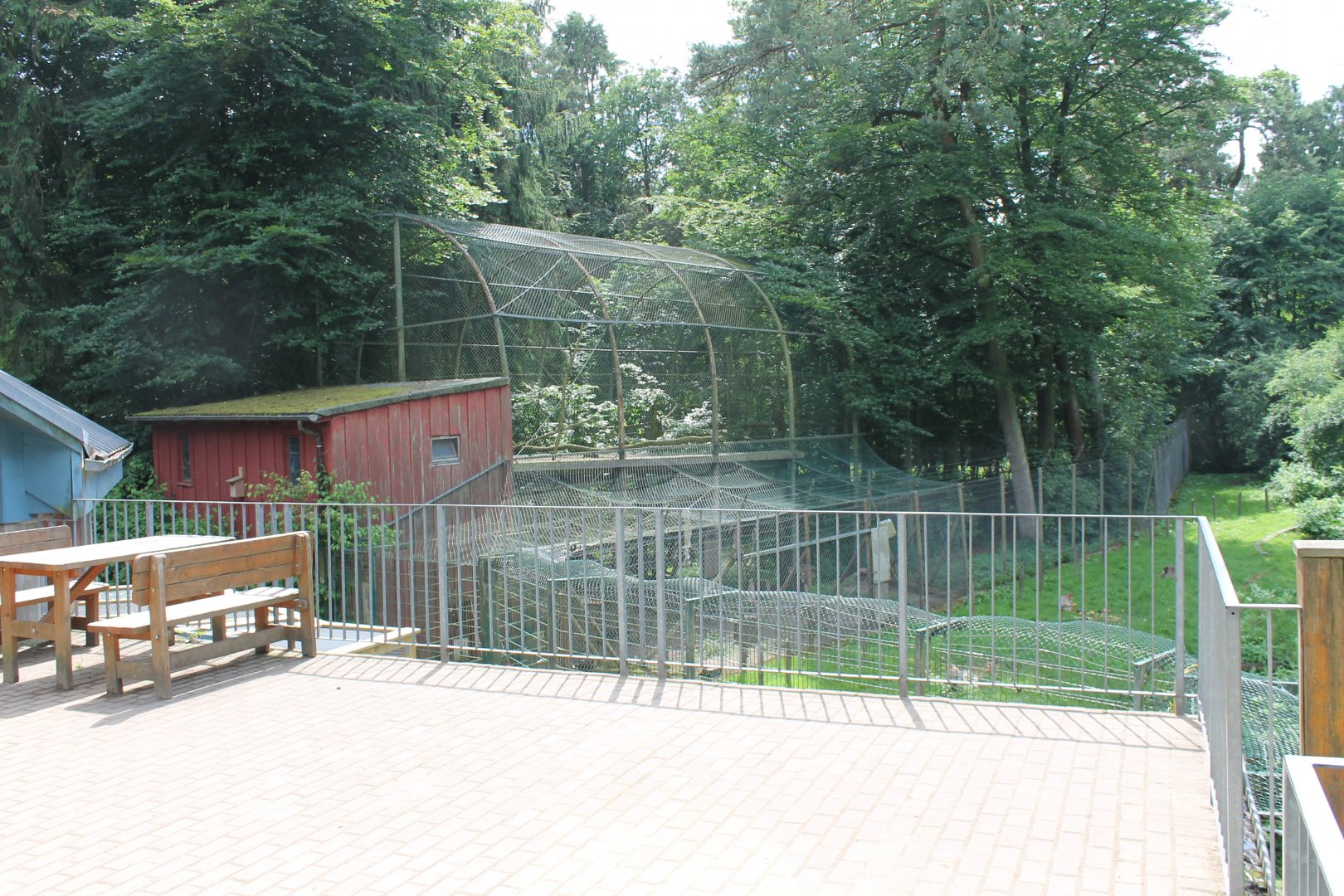 View into Barbary macaque-walk-through