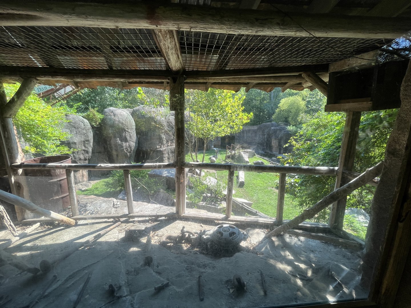 View into Black Bear Habitat through possible empty small animal exhibit