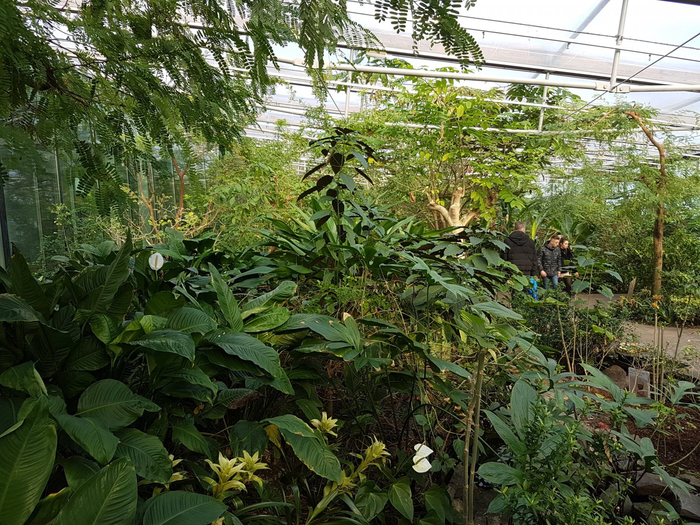 View into Butterfly-hall