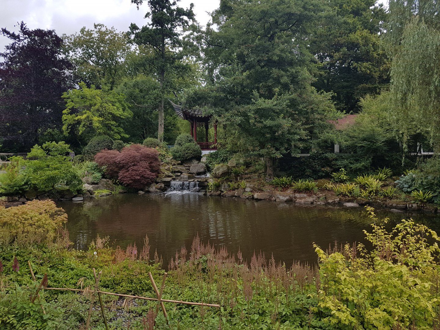 View into Chinese Garden