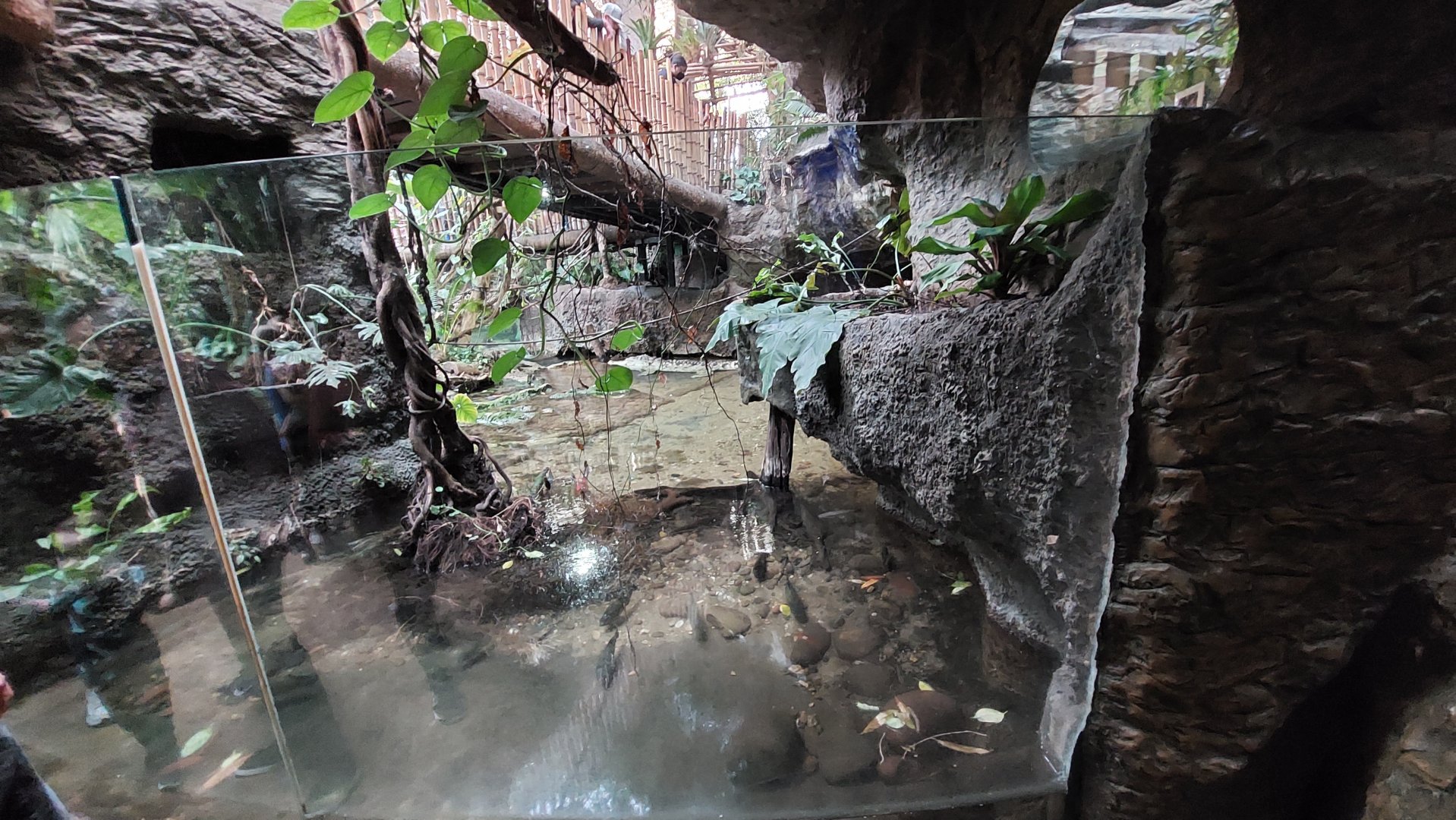 View into Crocodile Cove