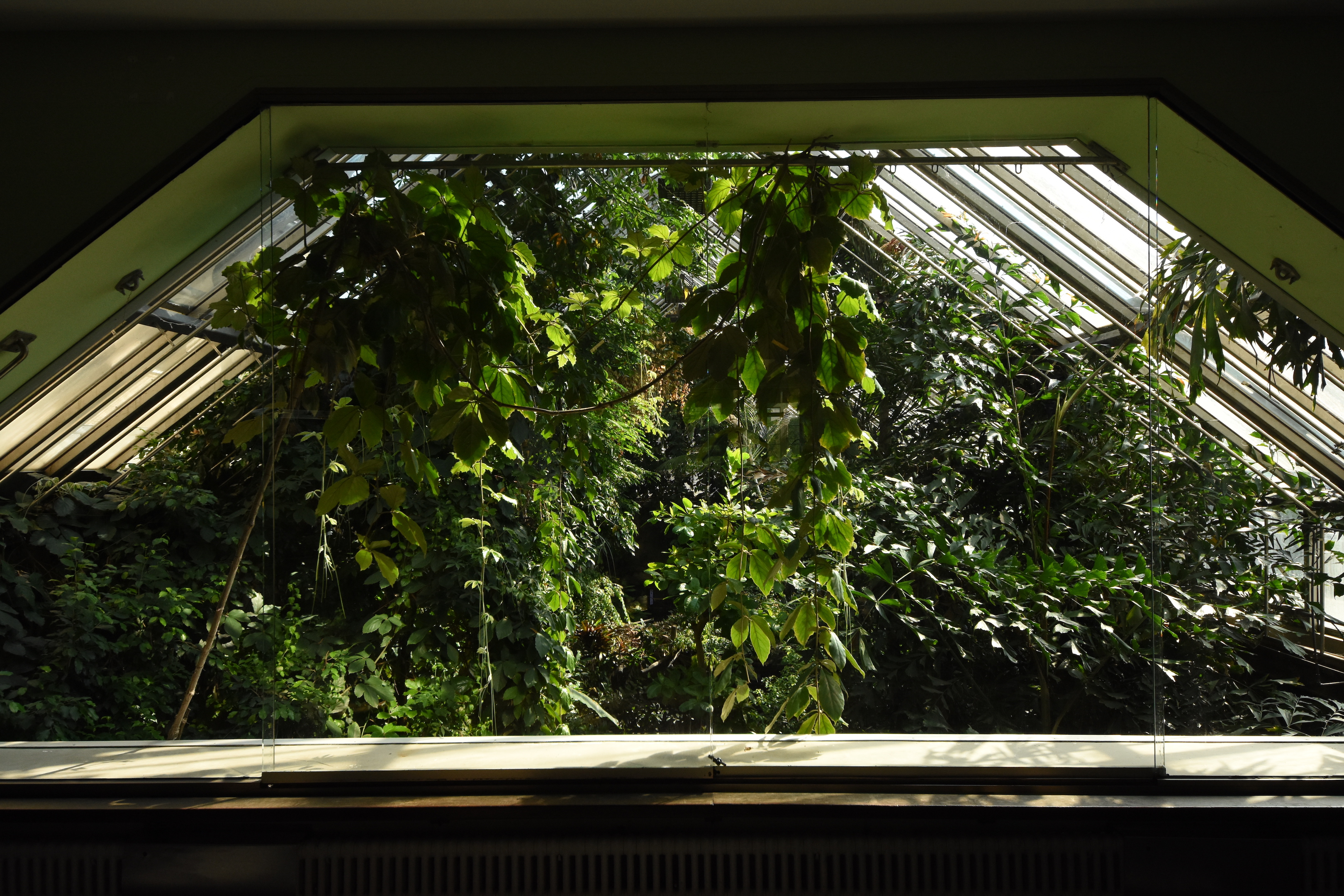 View into crocodile hall