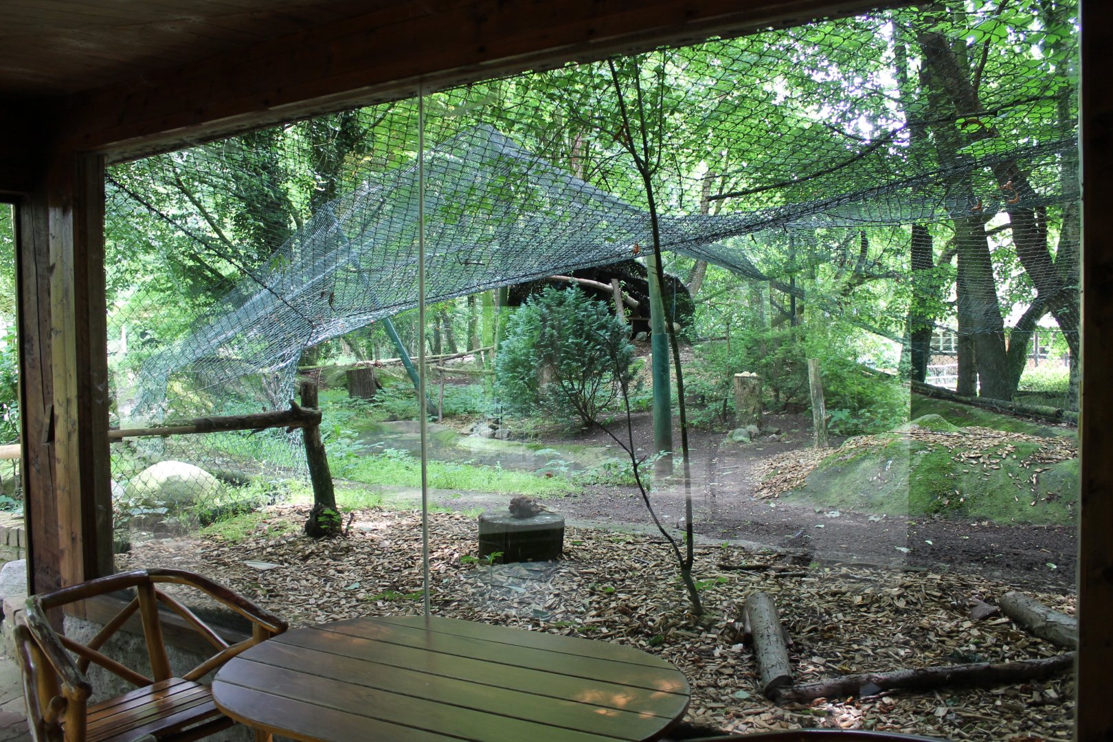 View into European eagle-owl Enclosure