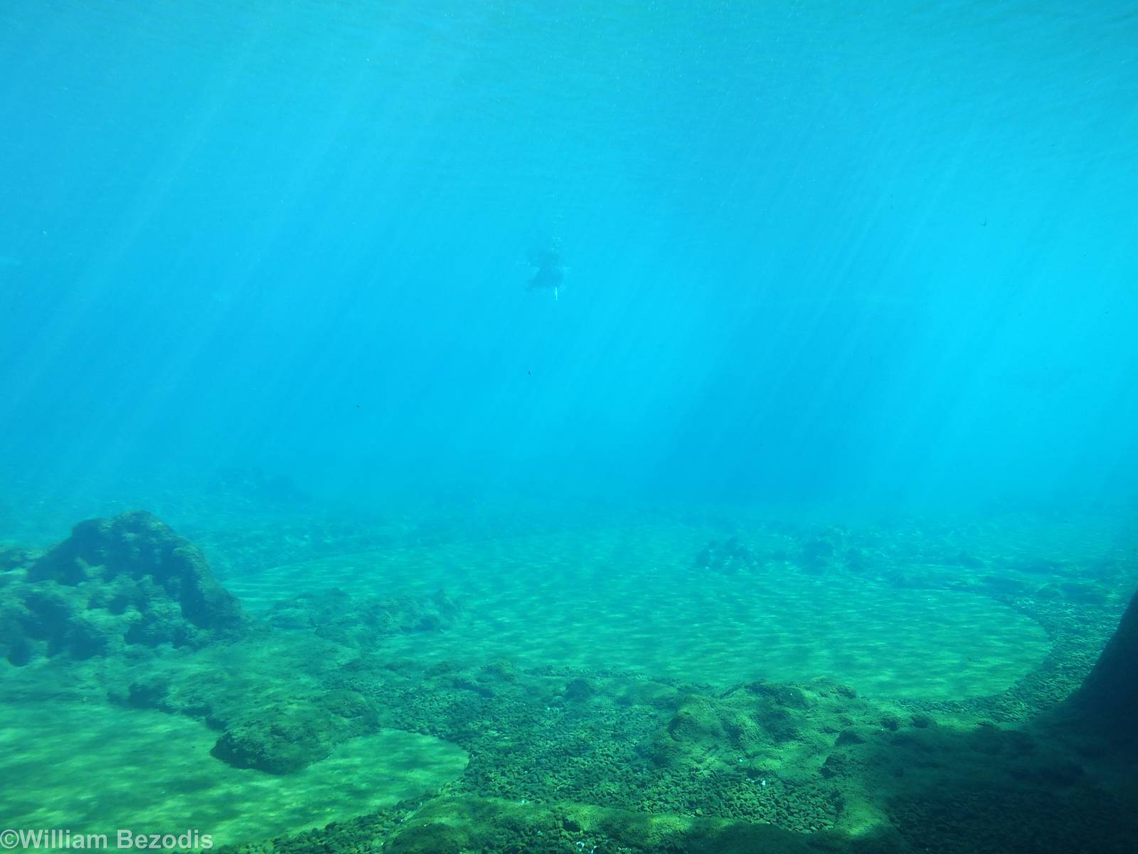 View into Fur Seal Pool; one can be Seen in the Distance- Afrykarium