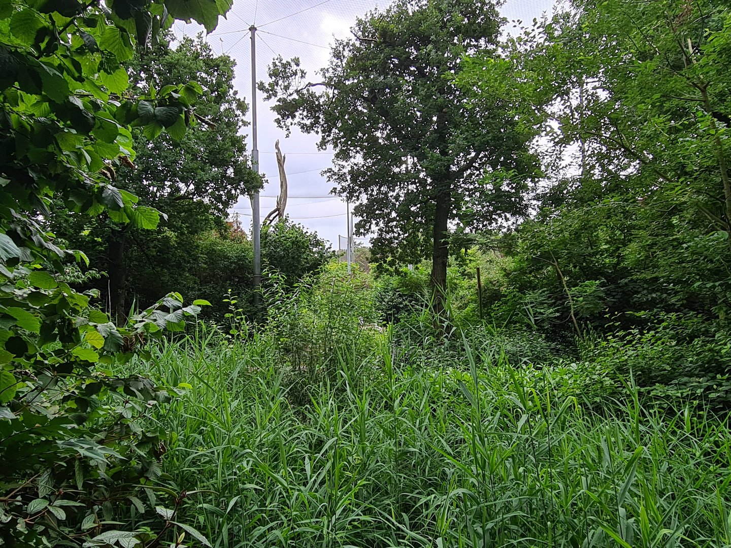View into giant aviary "Realm of beaks"