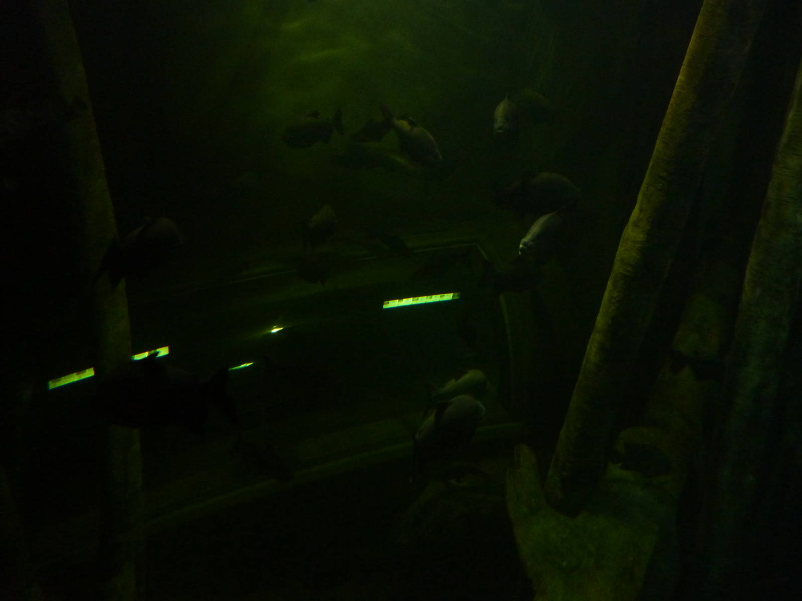 View into 'global river', 10th April 2012