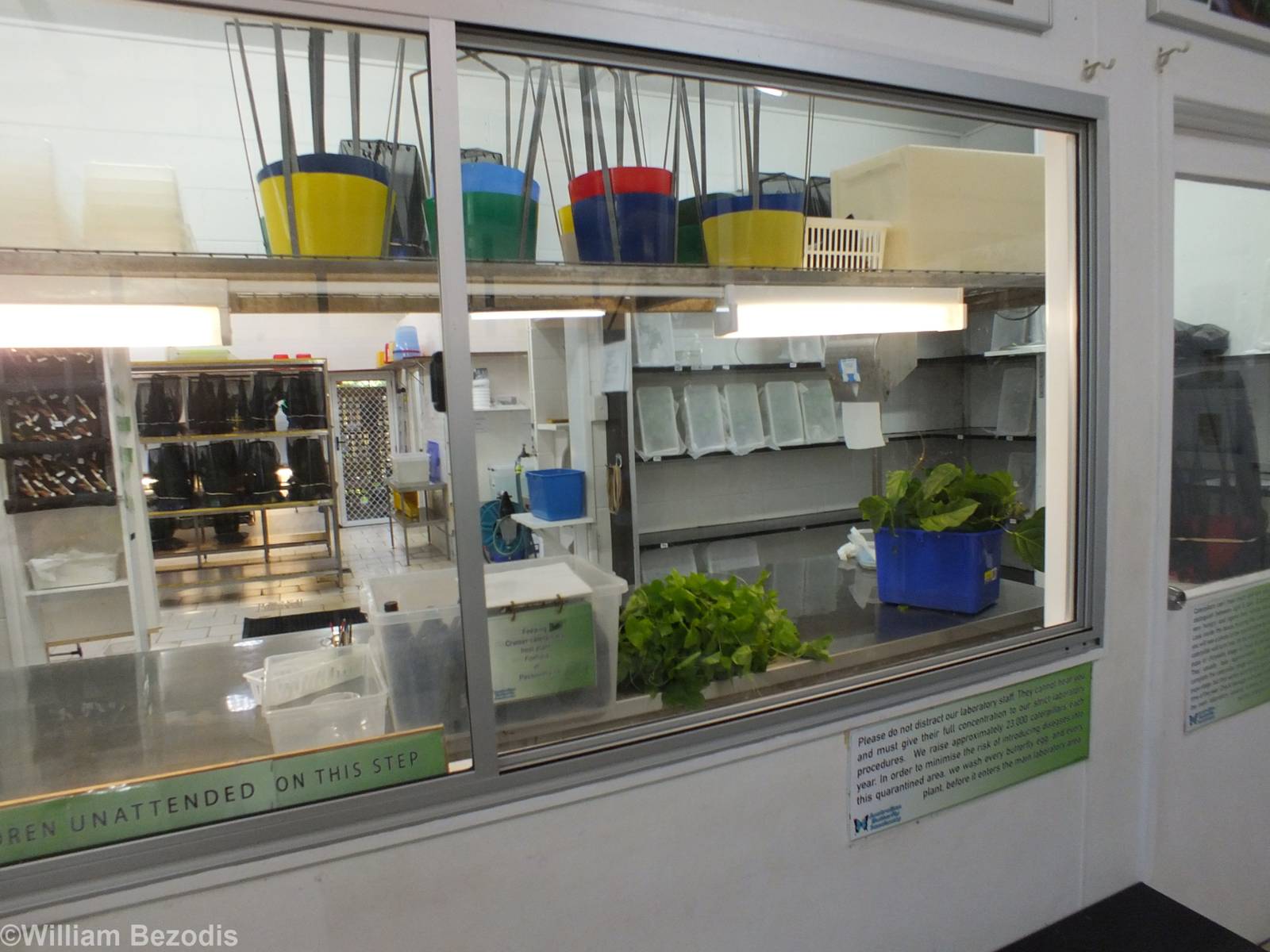 View into Laboratory