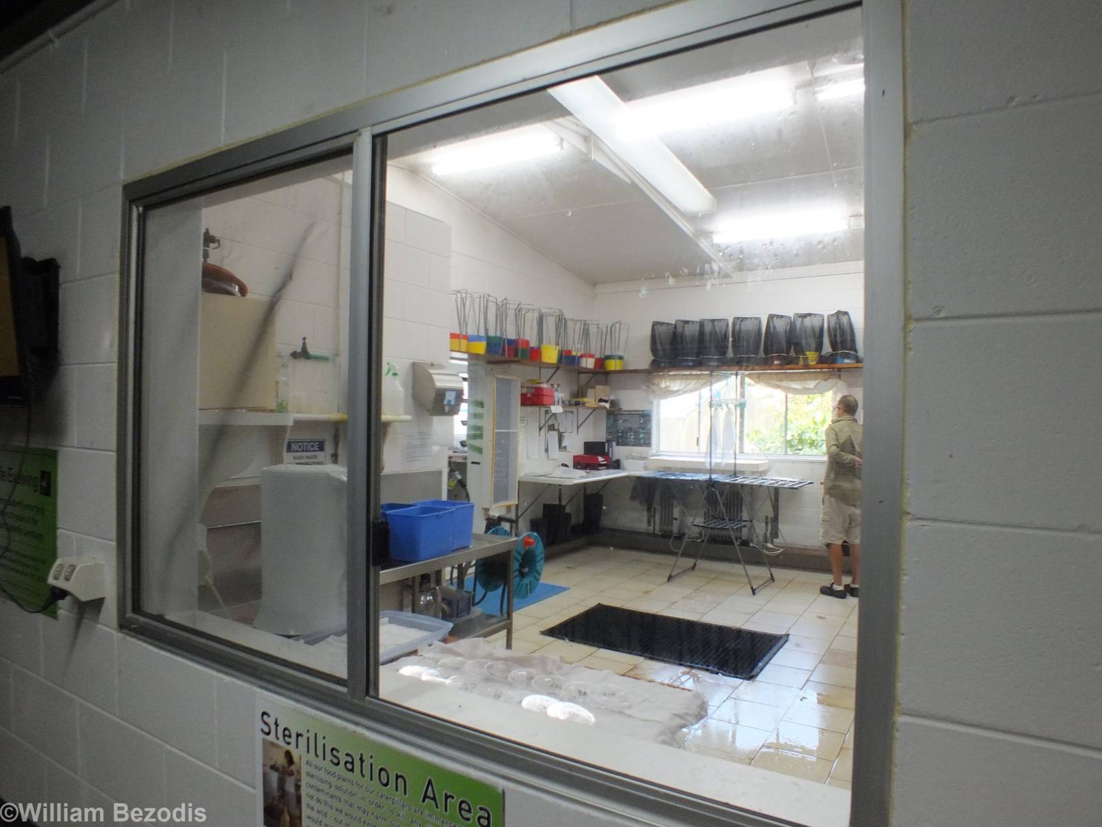 View into Laboratory