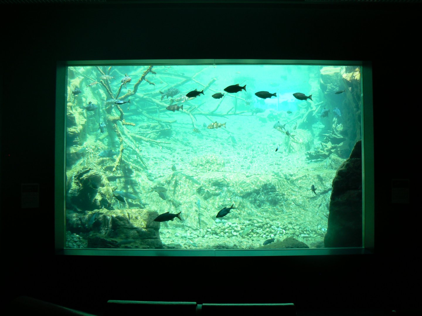 View into Lake Aquarium - 4 June 2019