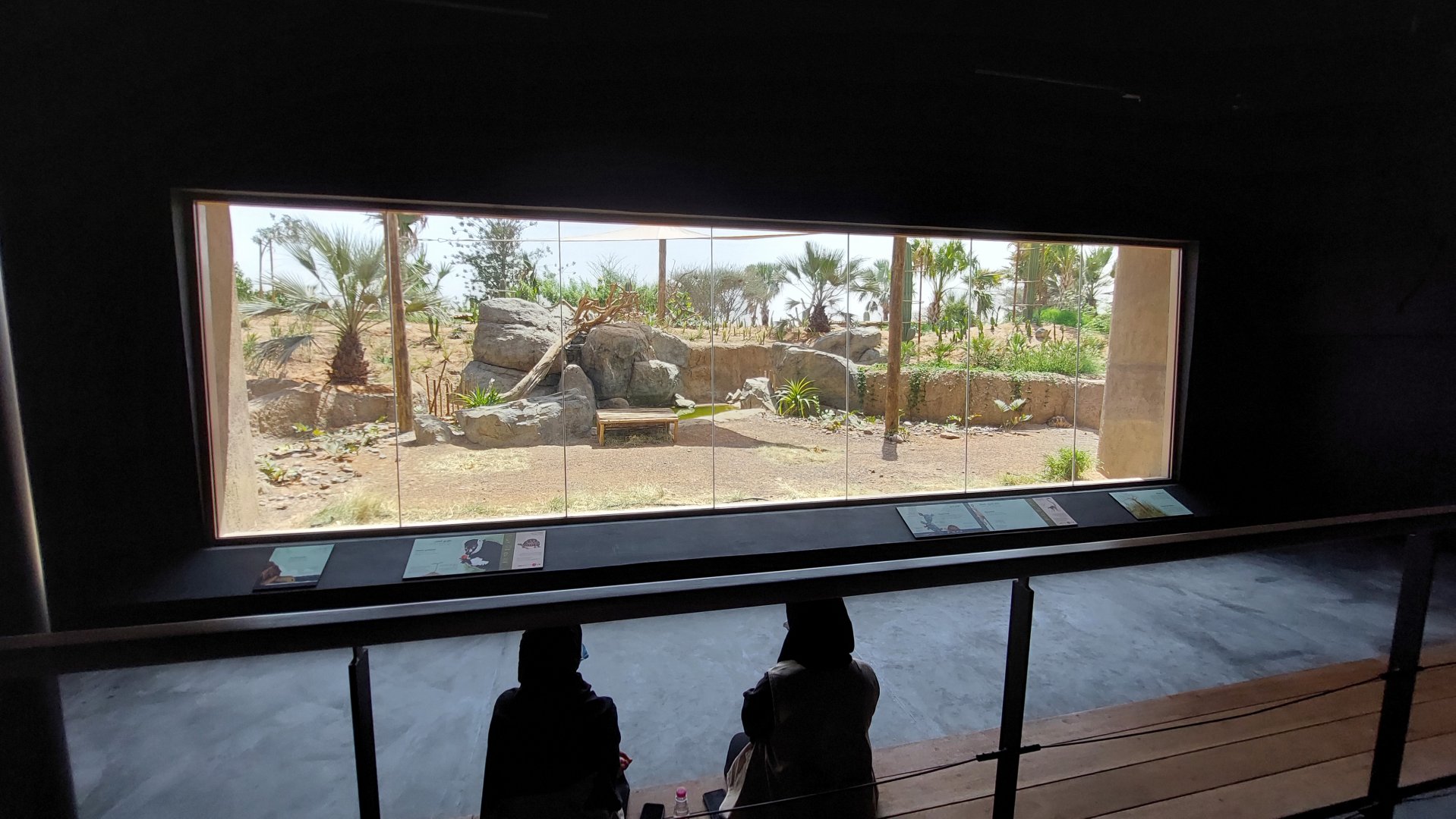 View into Lemur and tortoise enclosure