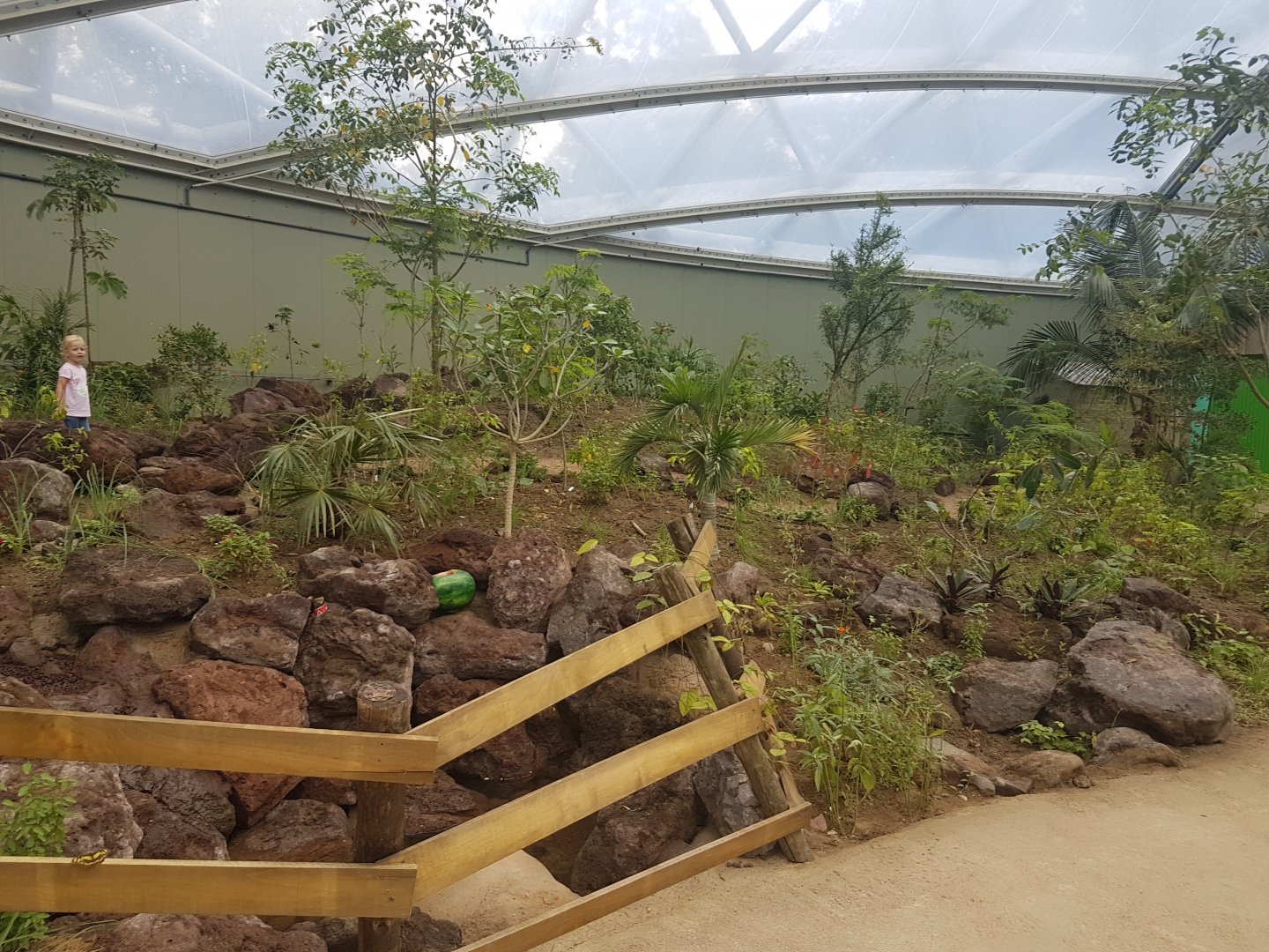 View into Mangrove-hall