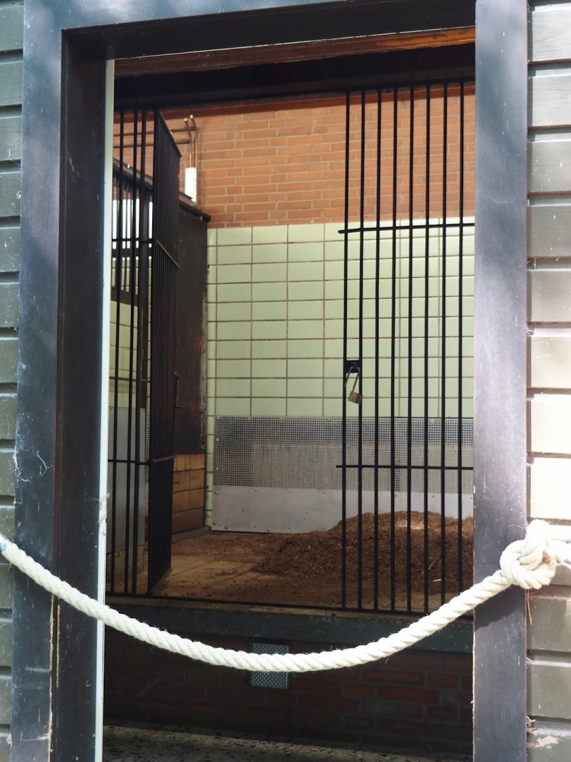 View into Mountain bongo and Kirk's dik-dik stable, 2024-06-08